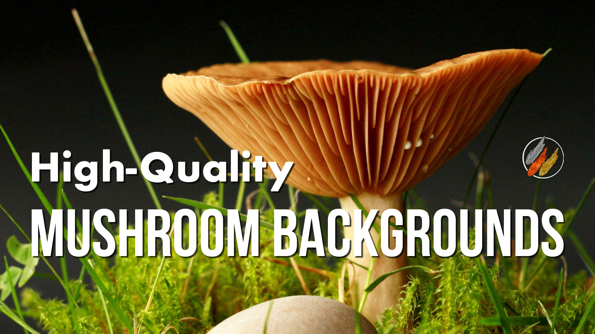 Mushroom Background