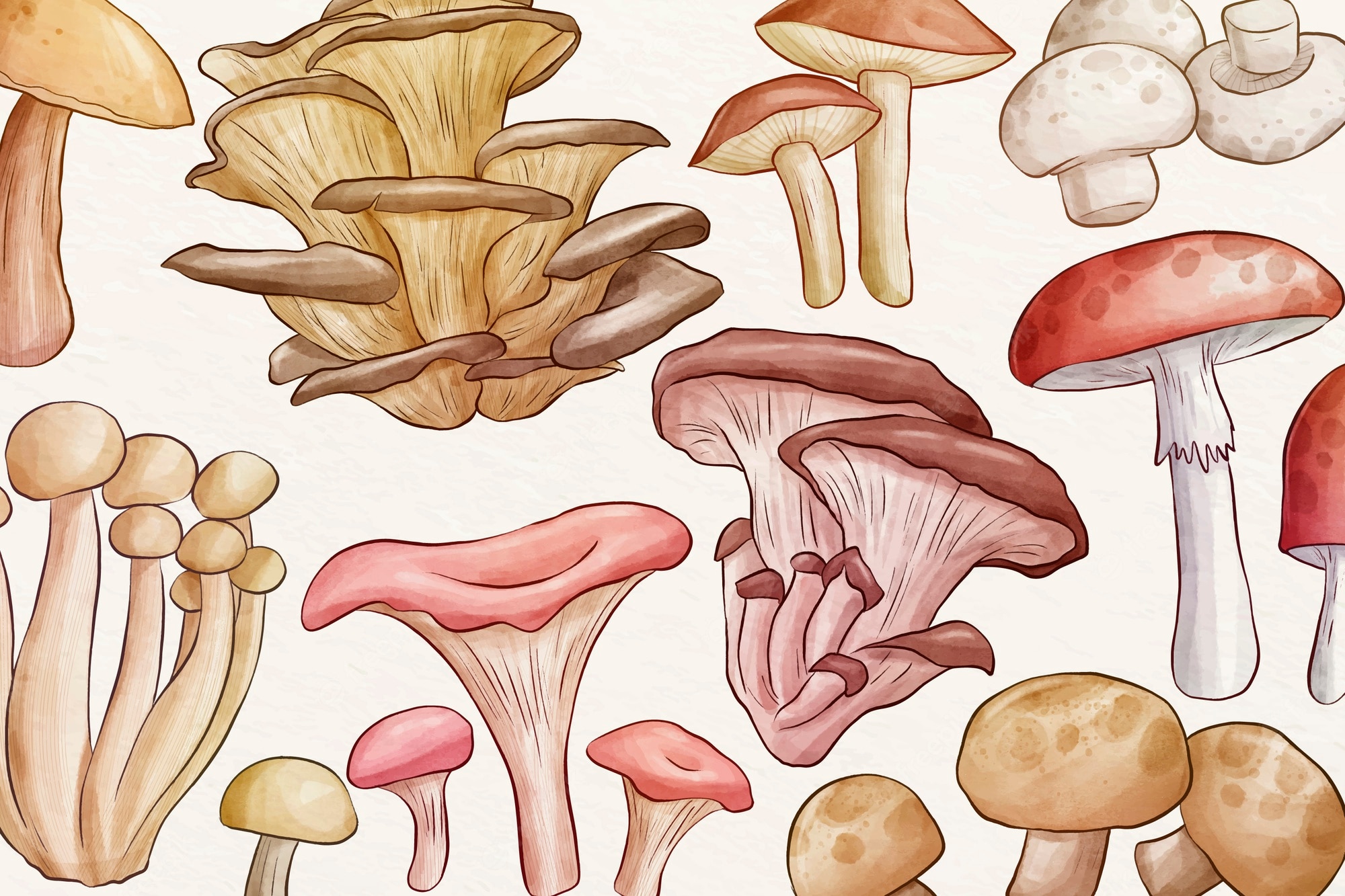 Mushroom Background