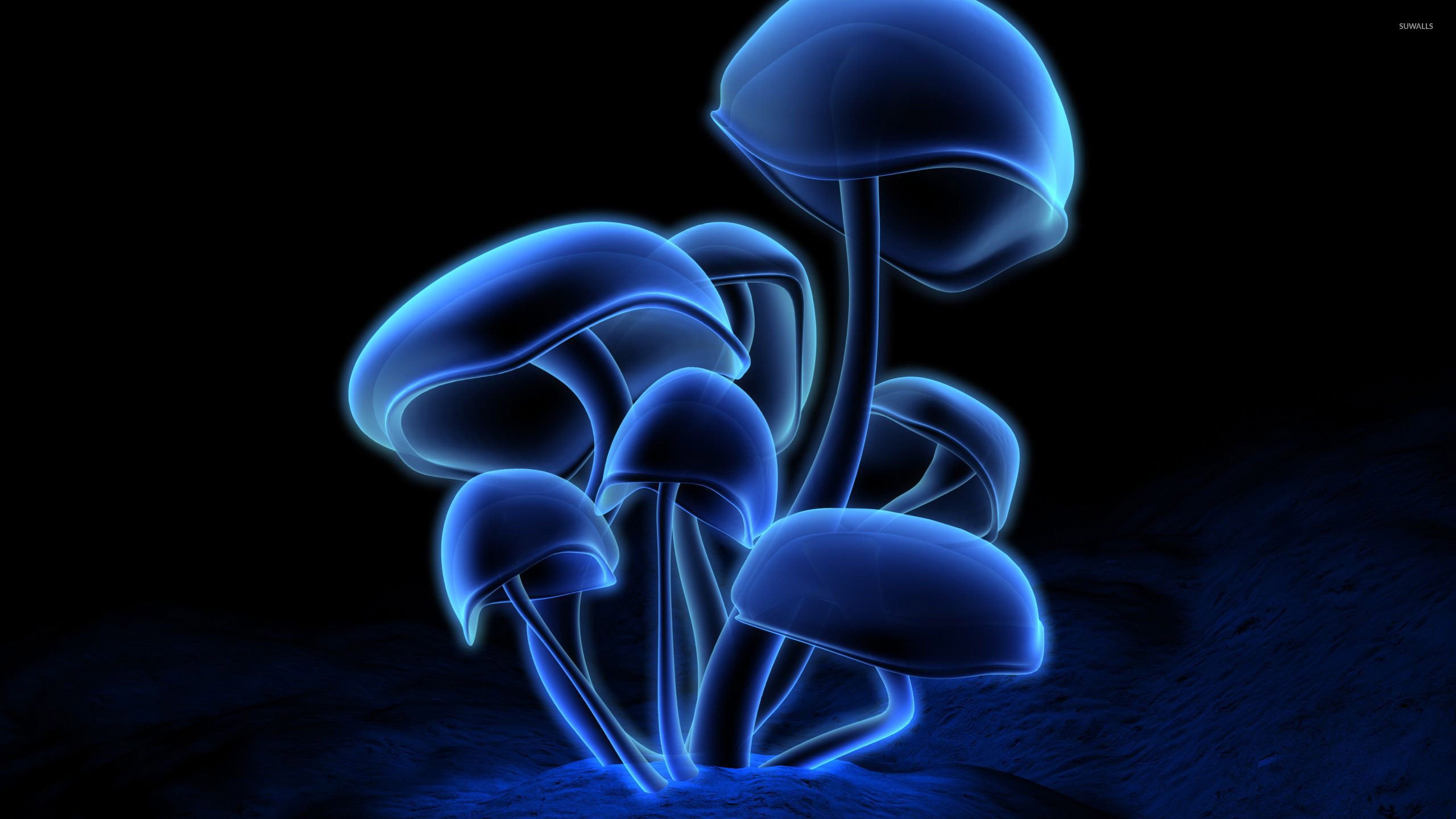 Mushroom Background