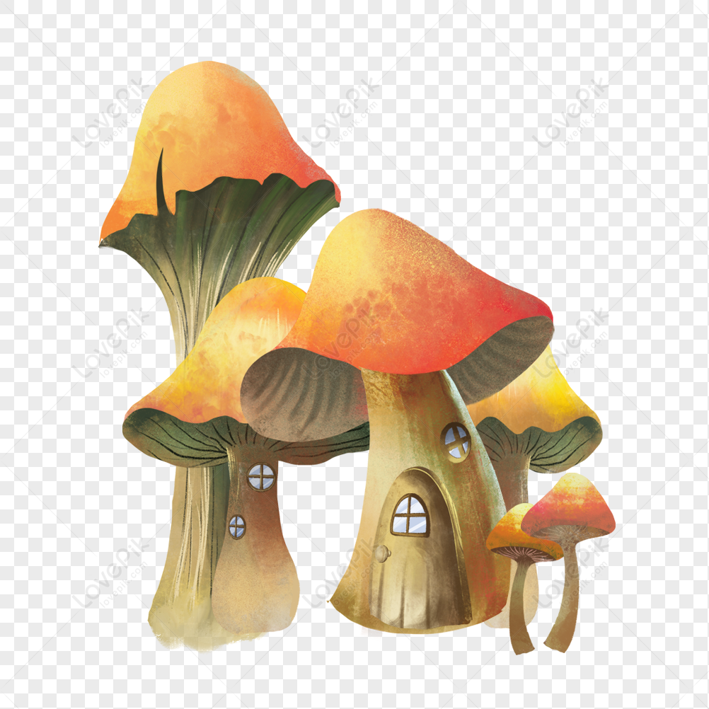 Mushroom Forest Background