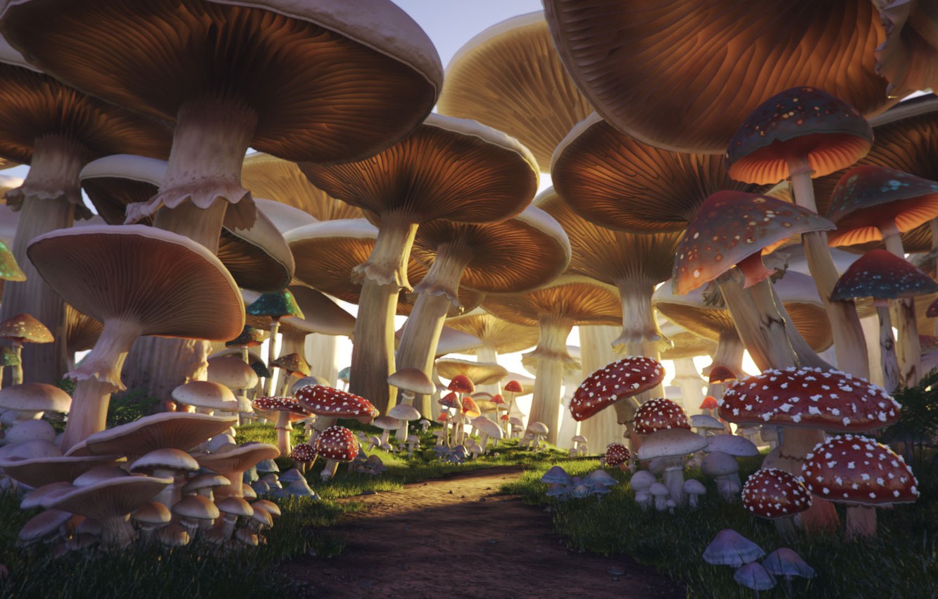 Mushroom Forest Background