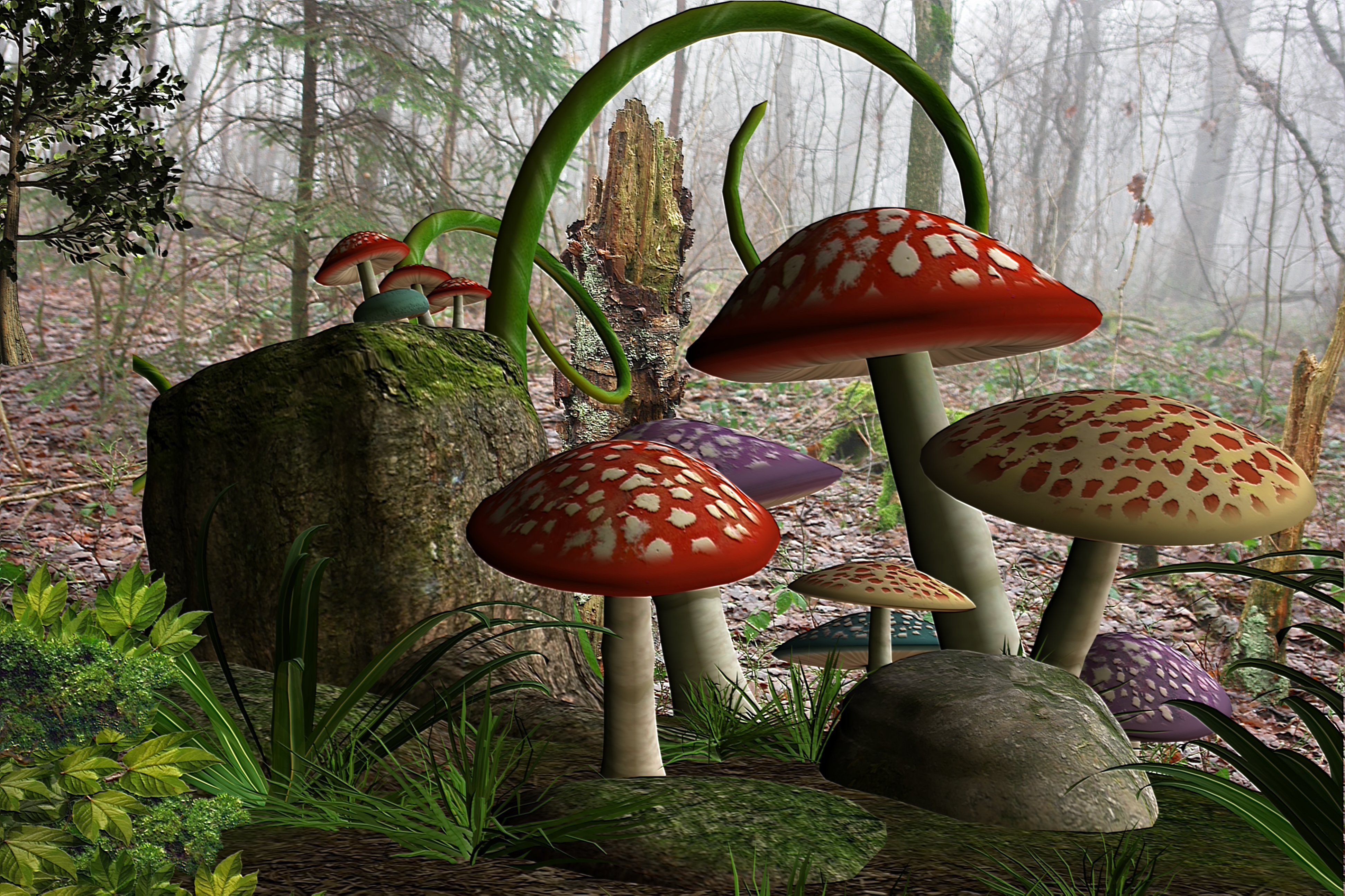 Mushroom Forest Background