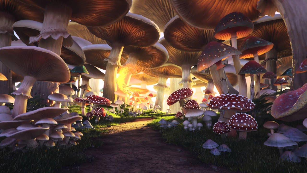 Mushroom Forest Background