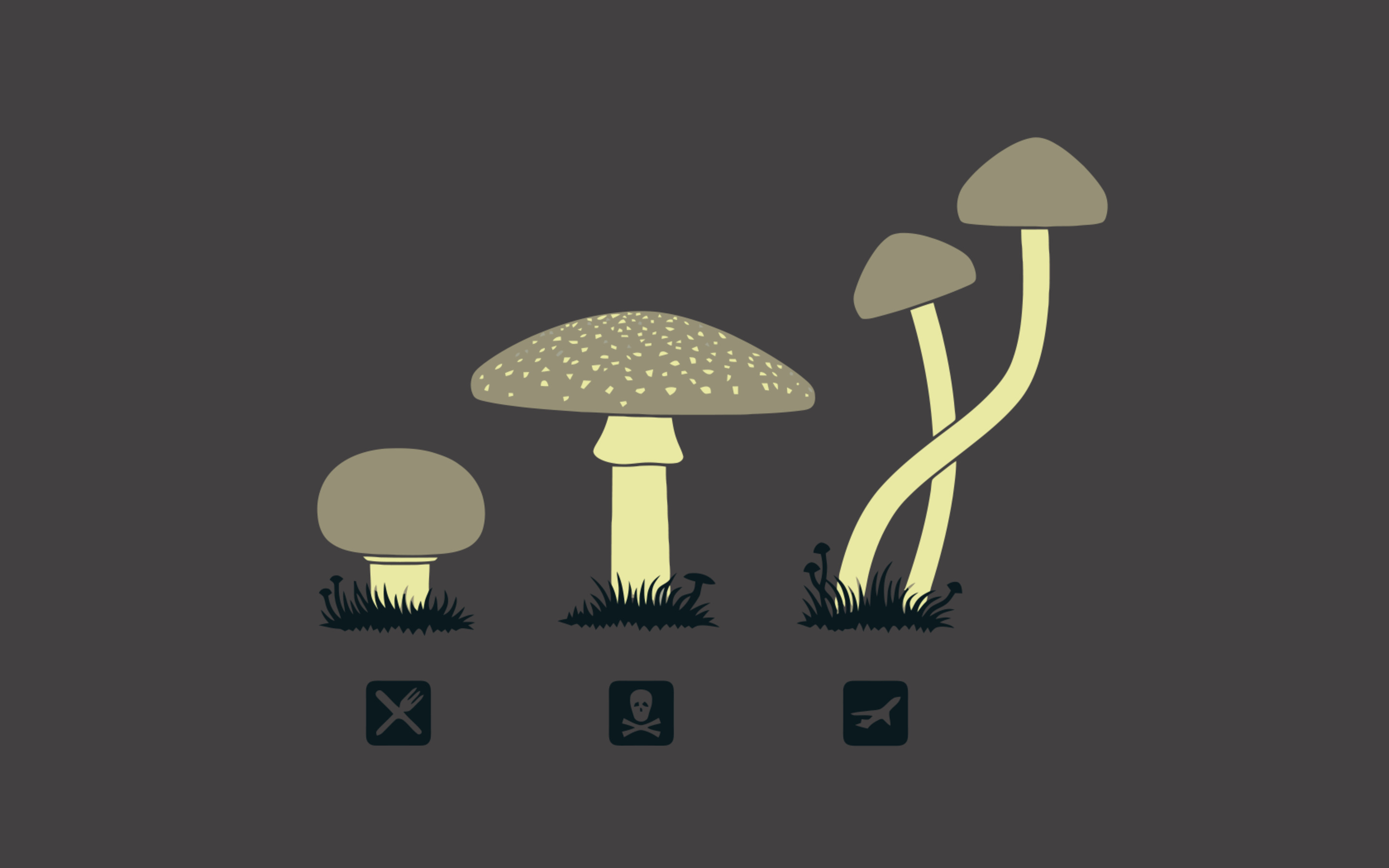 Mushroom Wallpapers