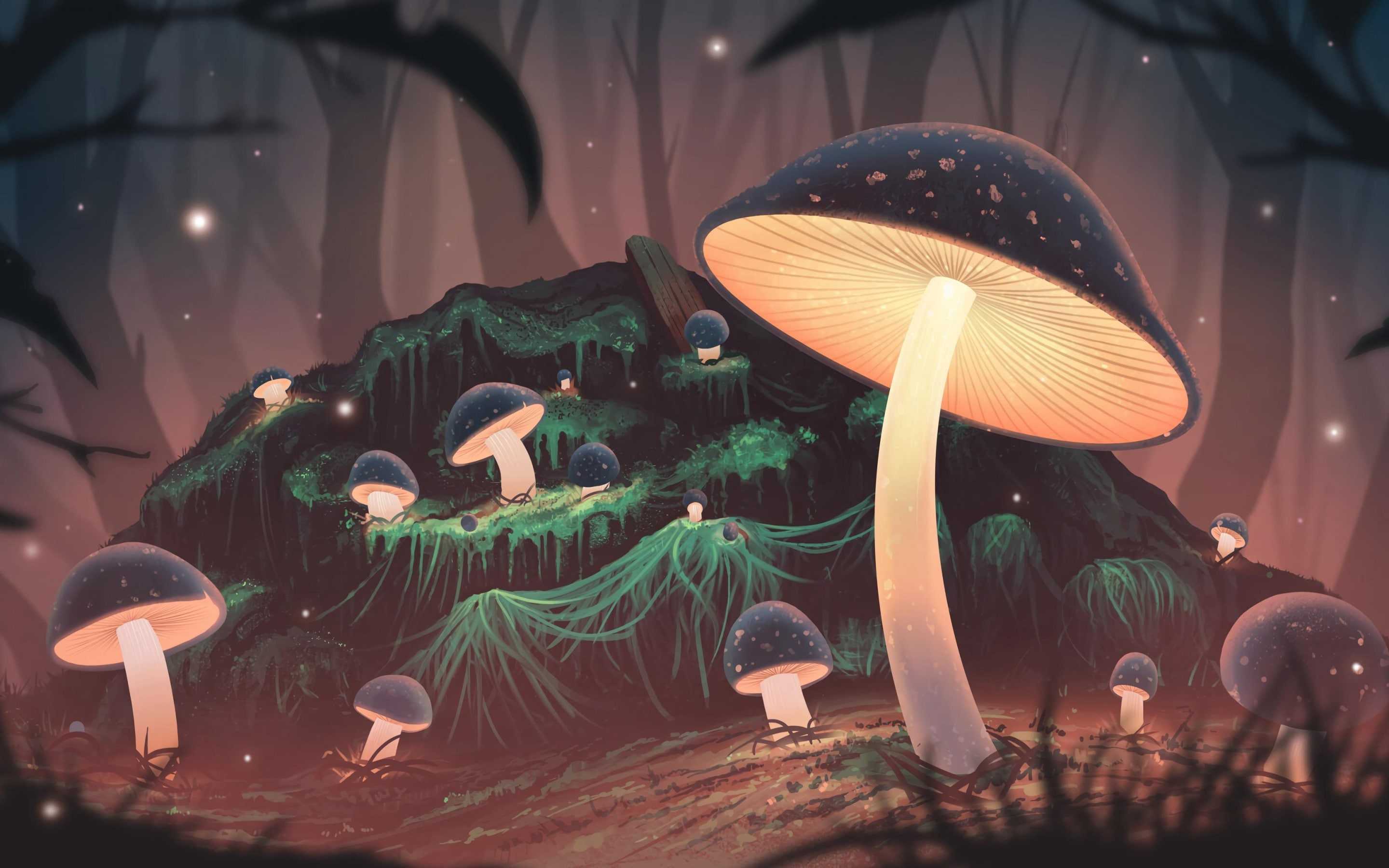 Mushrooms Wallpapers