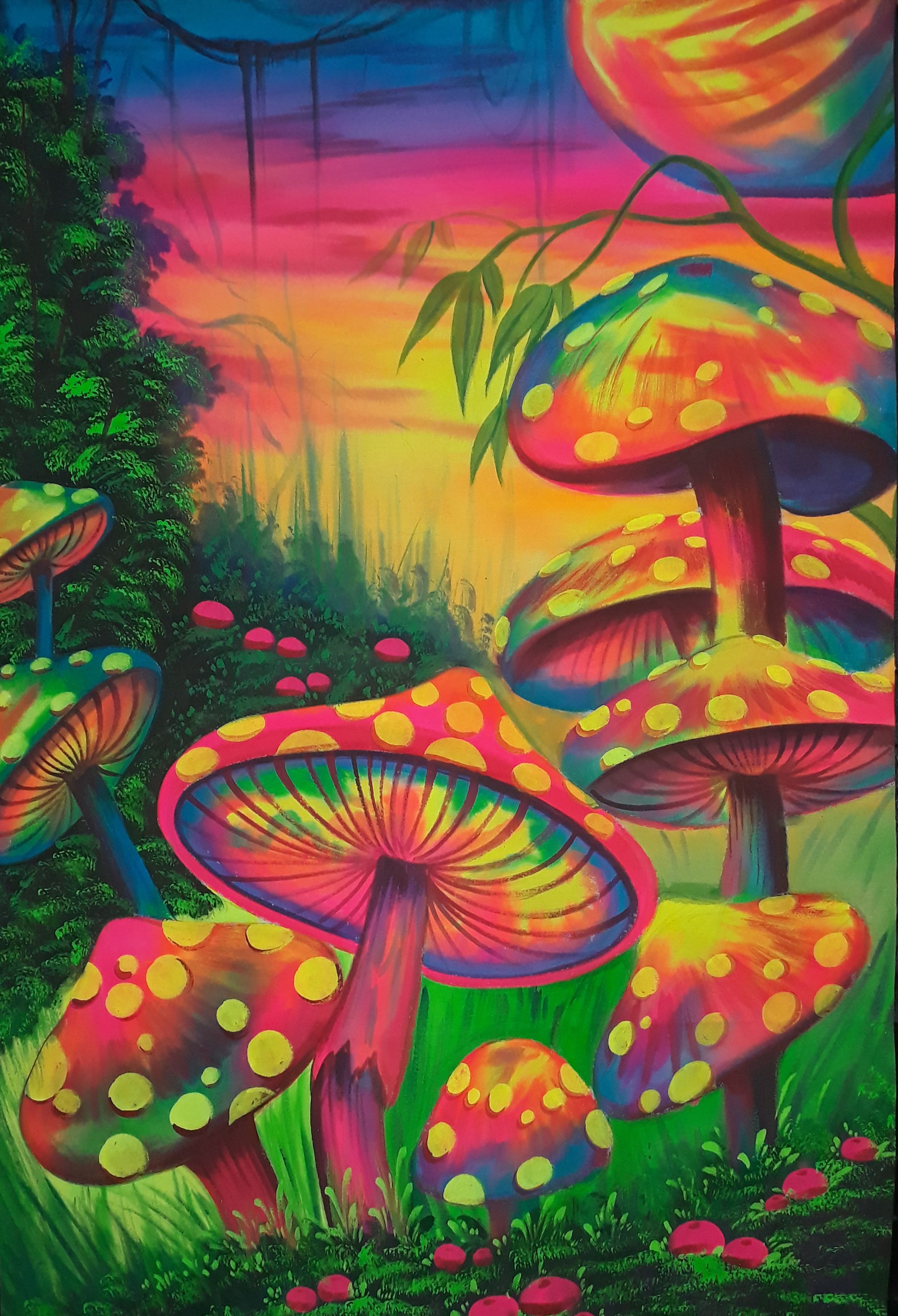 Mushrooms Wallpapers