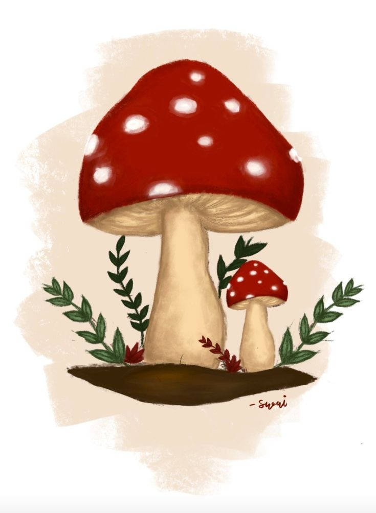 Mushrooms Wallpapers