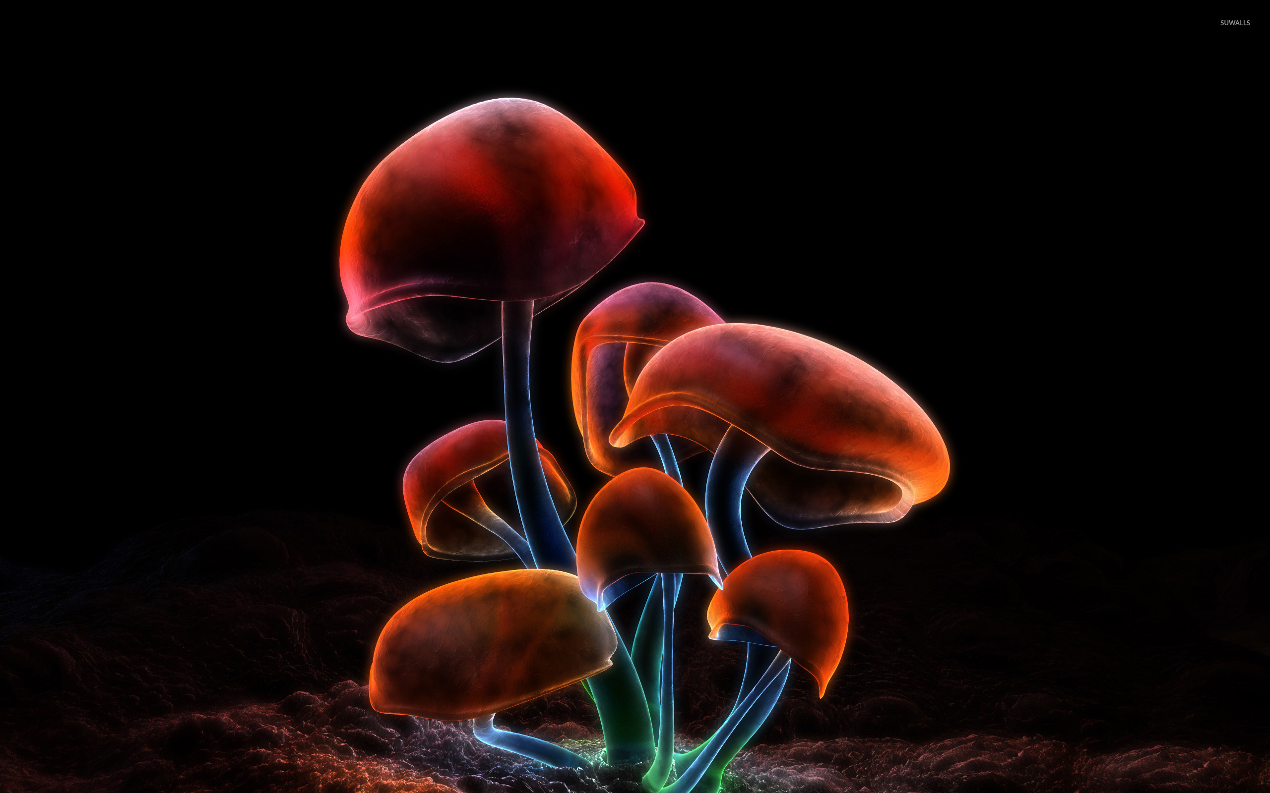 Mushrooms Wallpapers