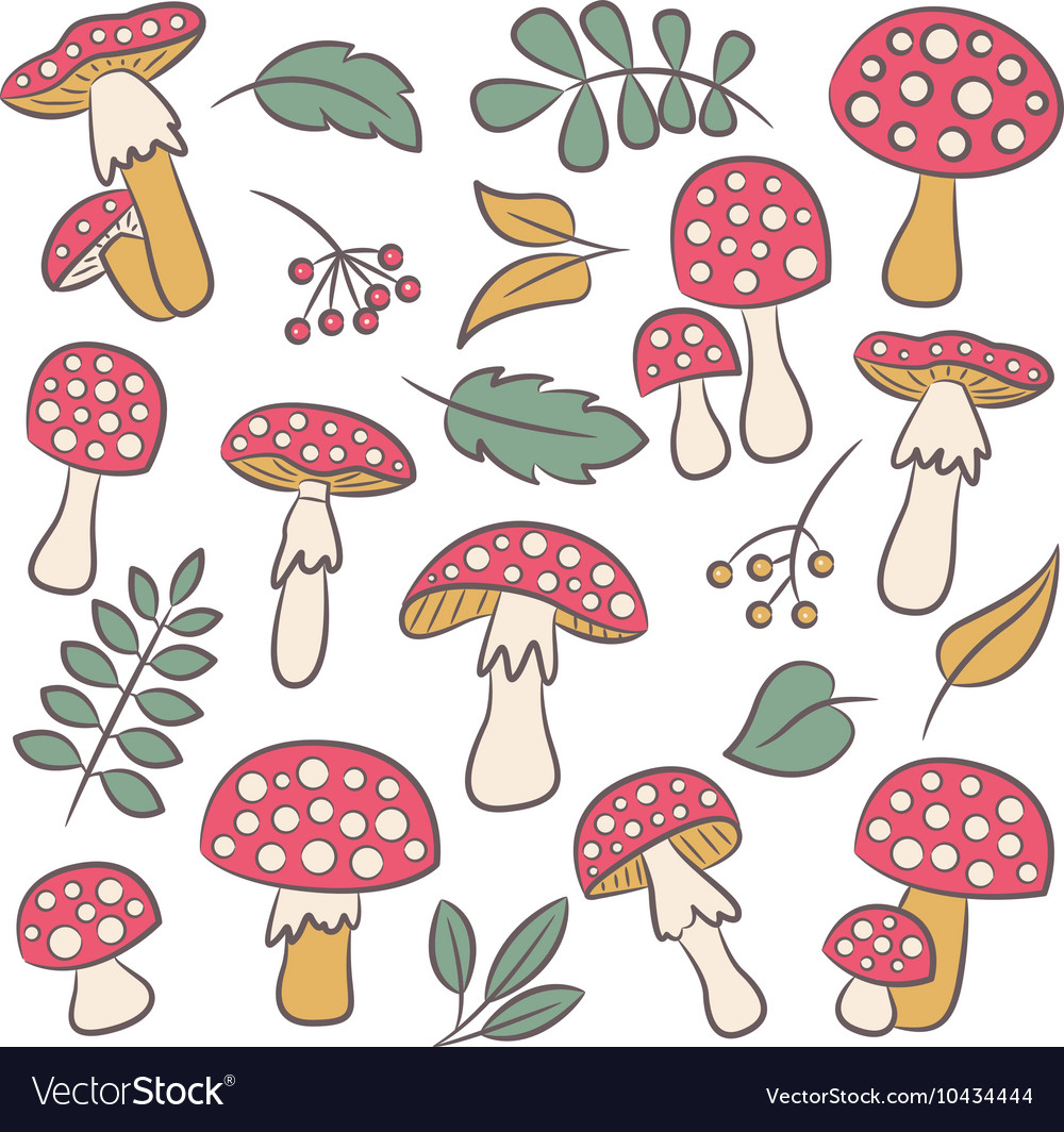 Mushrooms Wallpapers