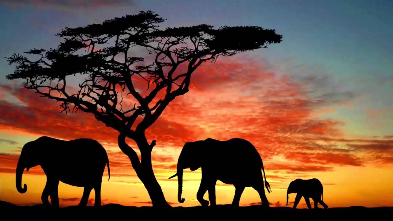 Music Of Africa Wallpapers