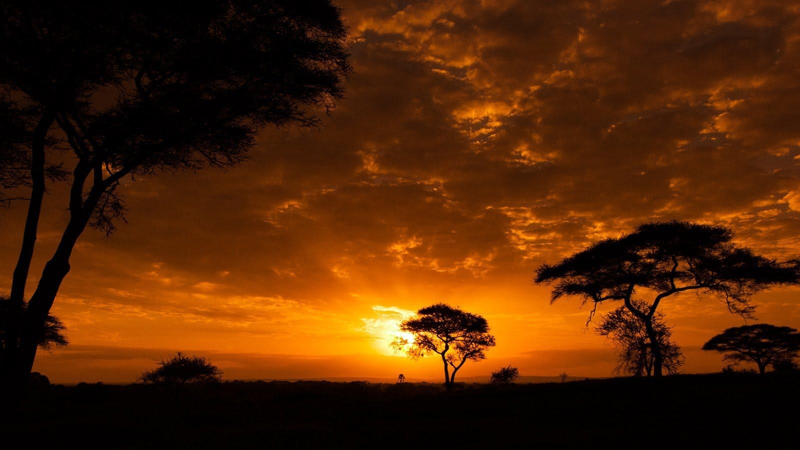 Music Of Africa Wallpapers