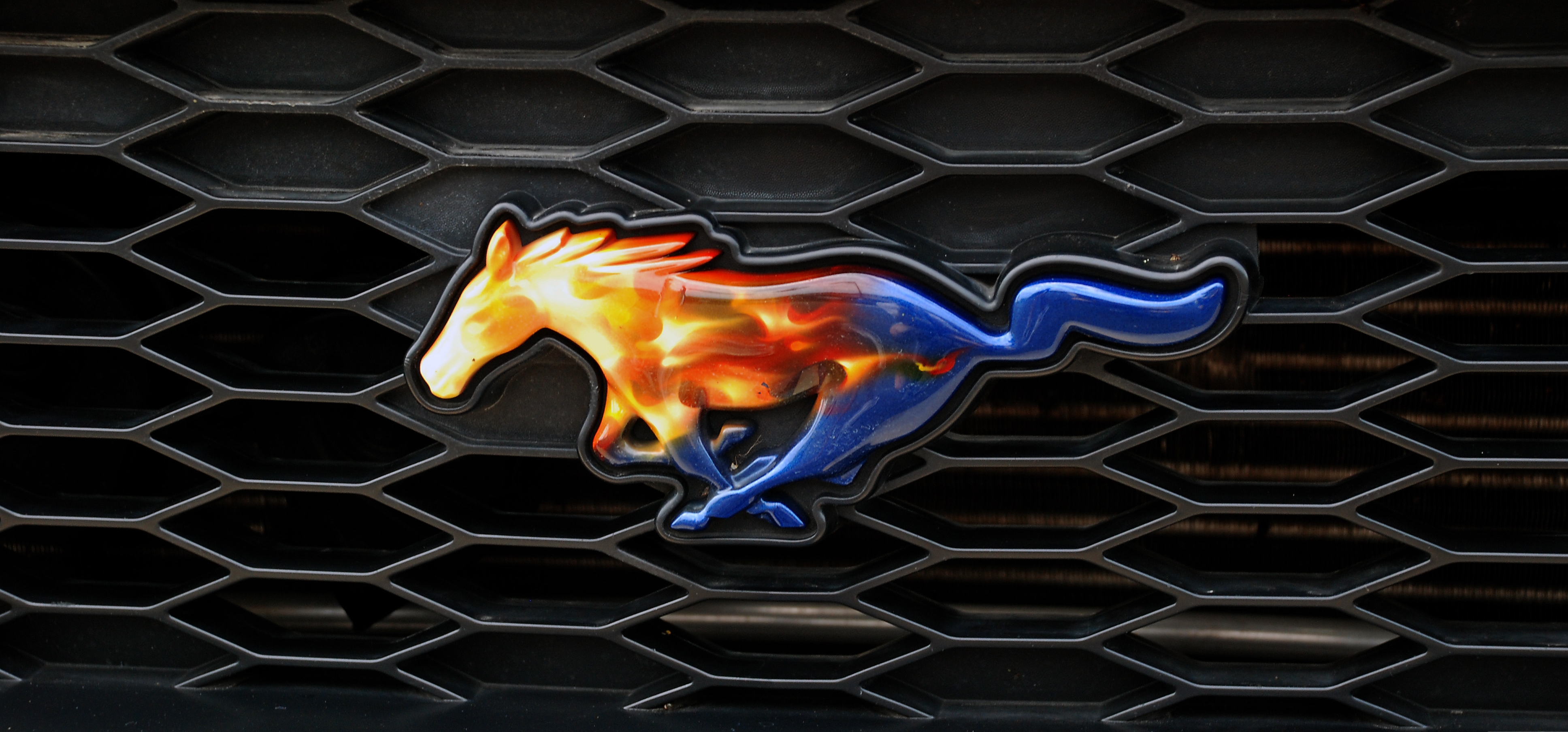 Mustang Cobra Logo Wallpapers