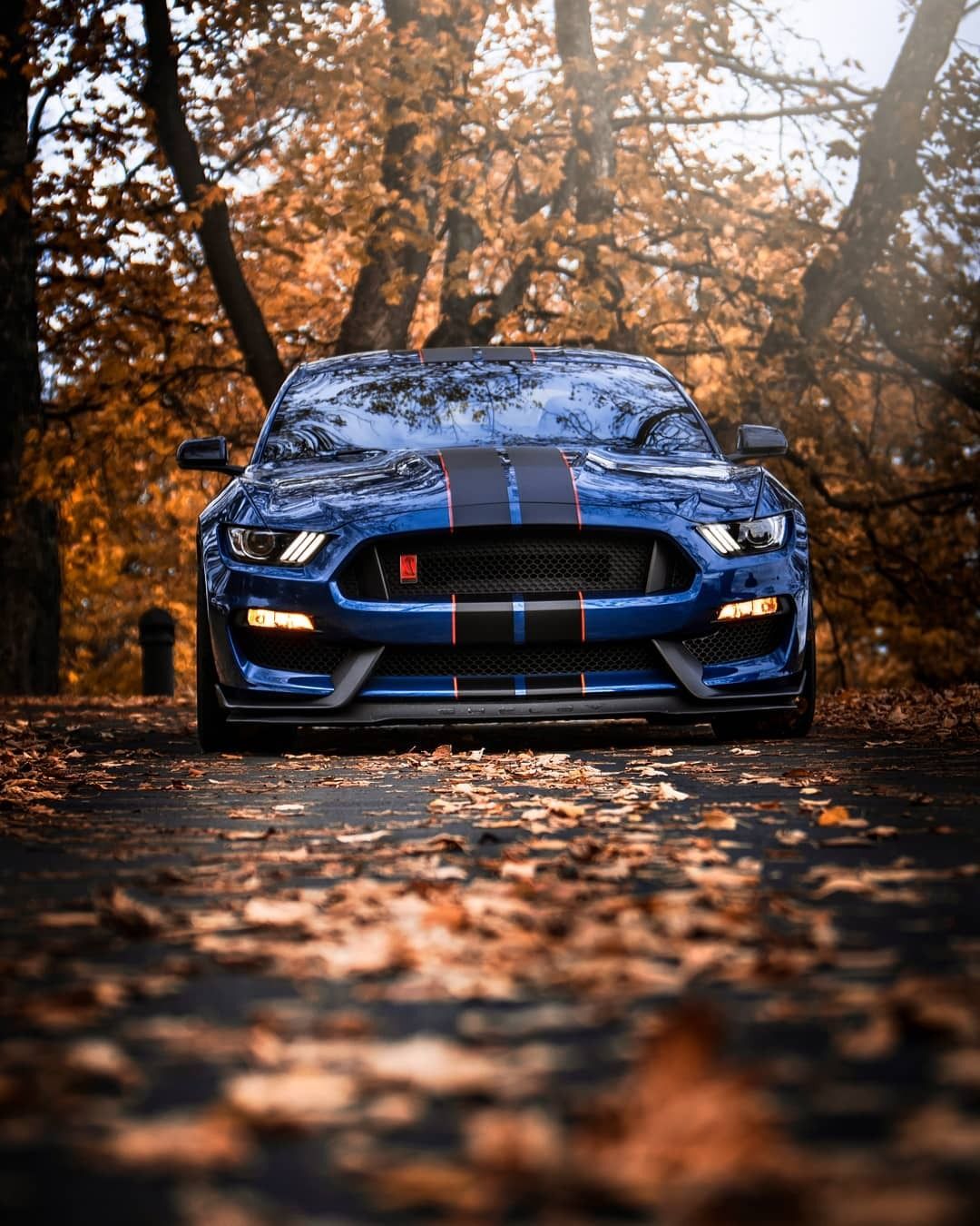 Mustang Gt350 Wallpapers