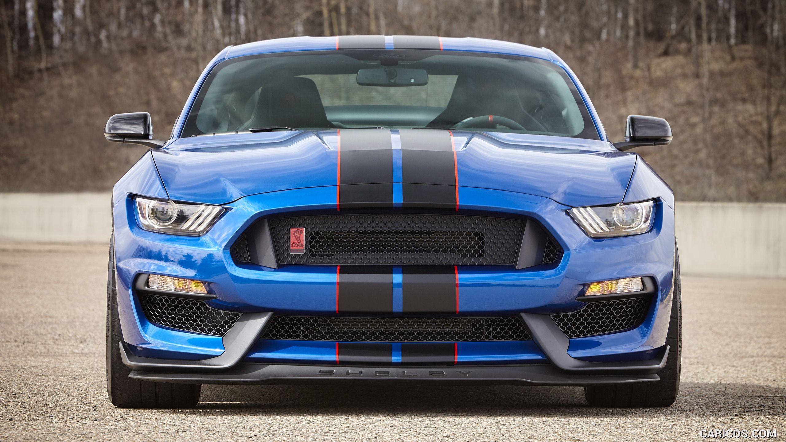 Mustang Gt350 Wallpapers