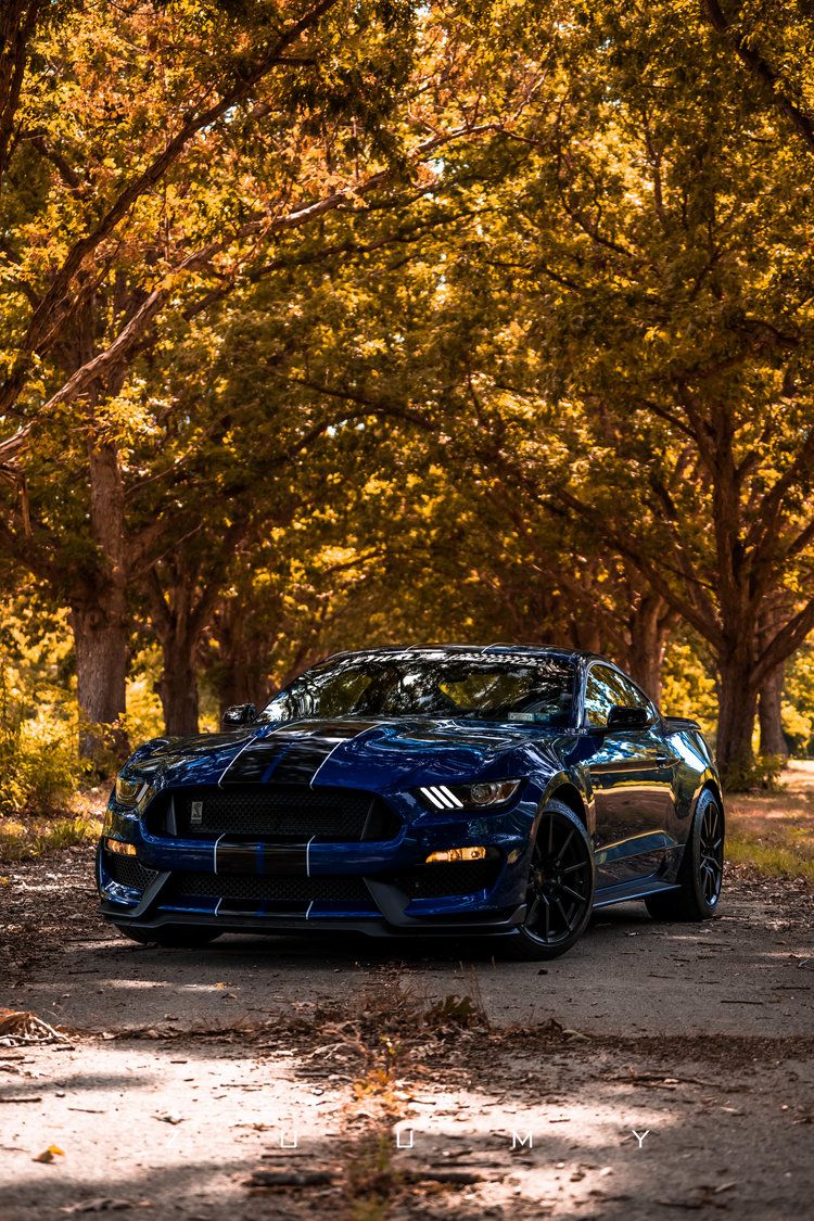 Mustang Gt350 Wallpapers