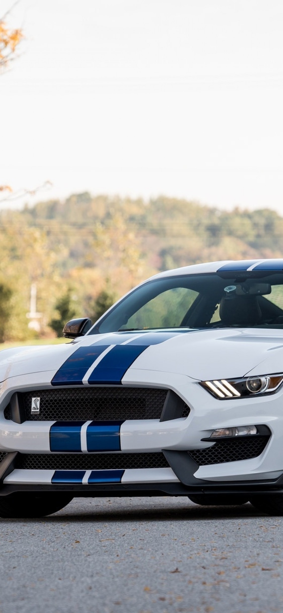 Mustang Gt350 Wallpapers