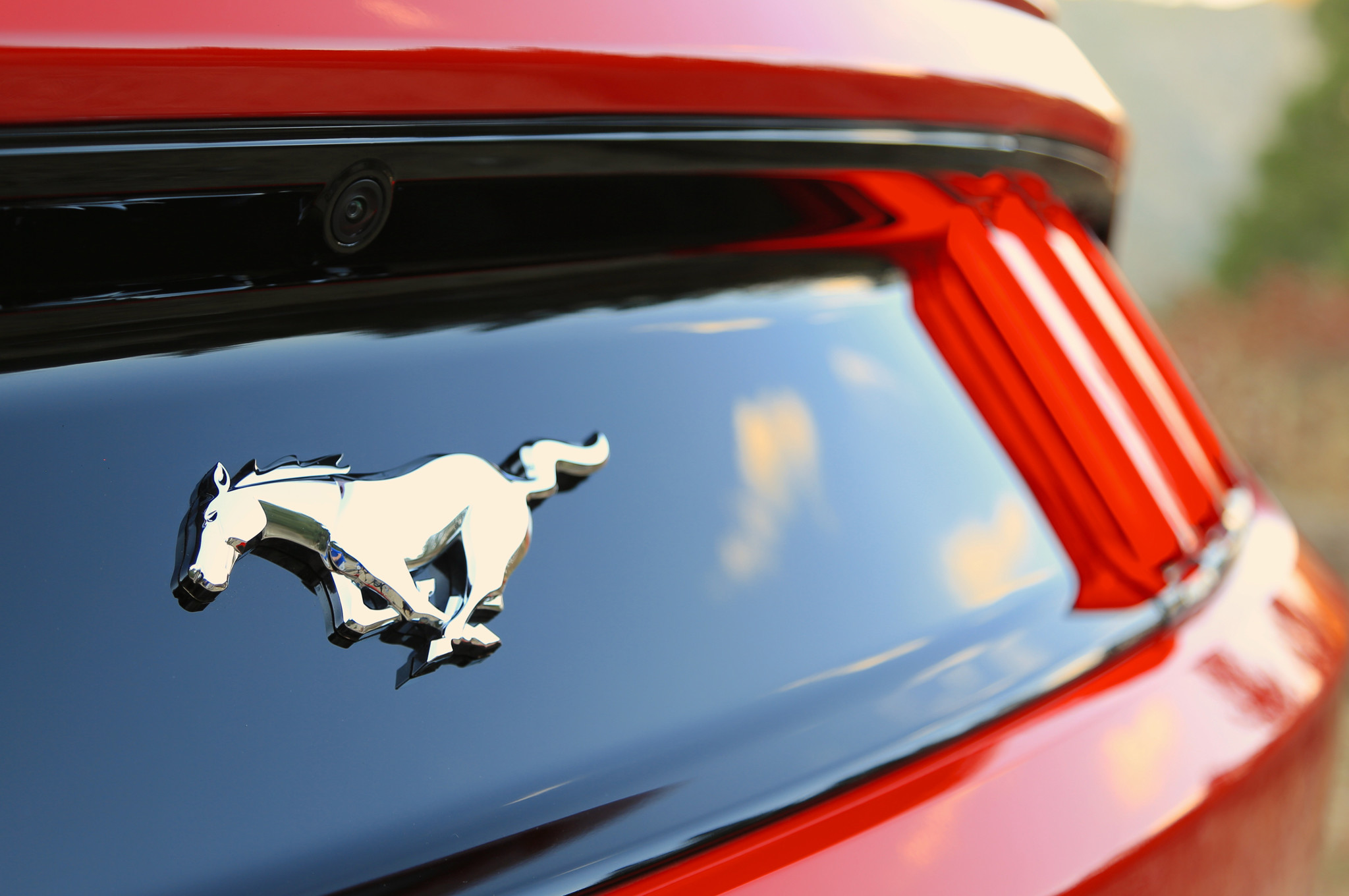 Mustang Logo Wallpapers