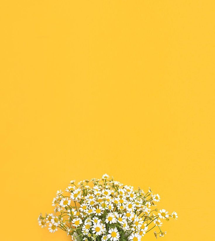 Mustard Color Wallpapers