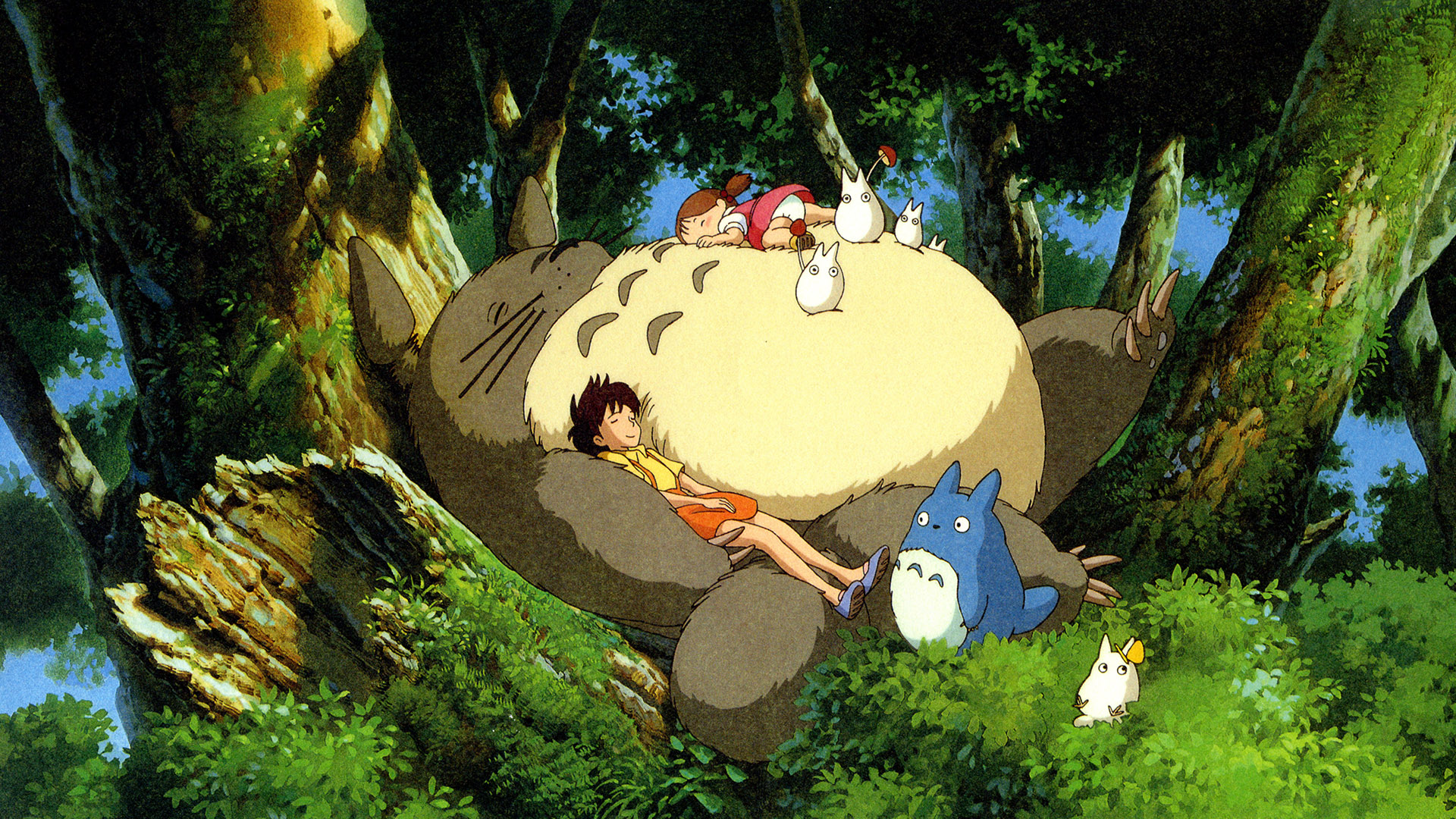 My Neighbor Totoro For Laptop Wallpapers