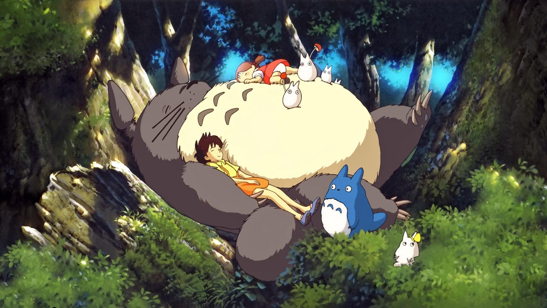 My Neighbor Totoro For Laptop Wallpapers