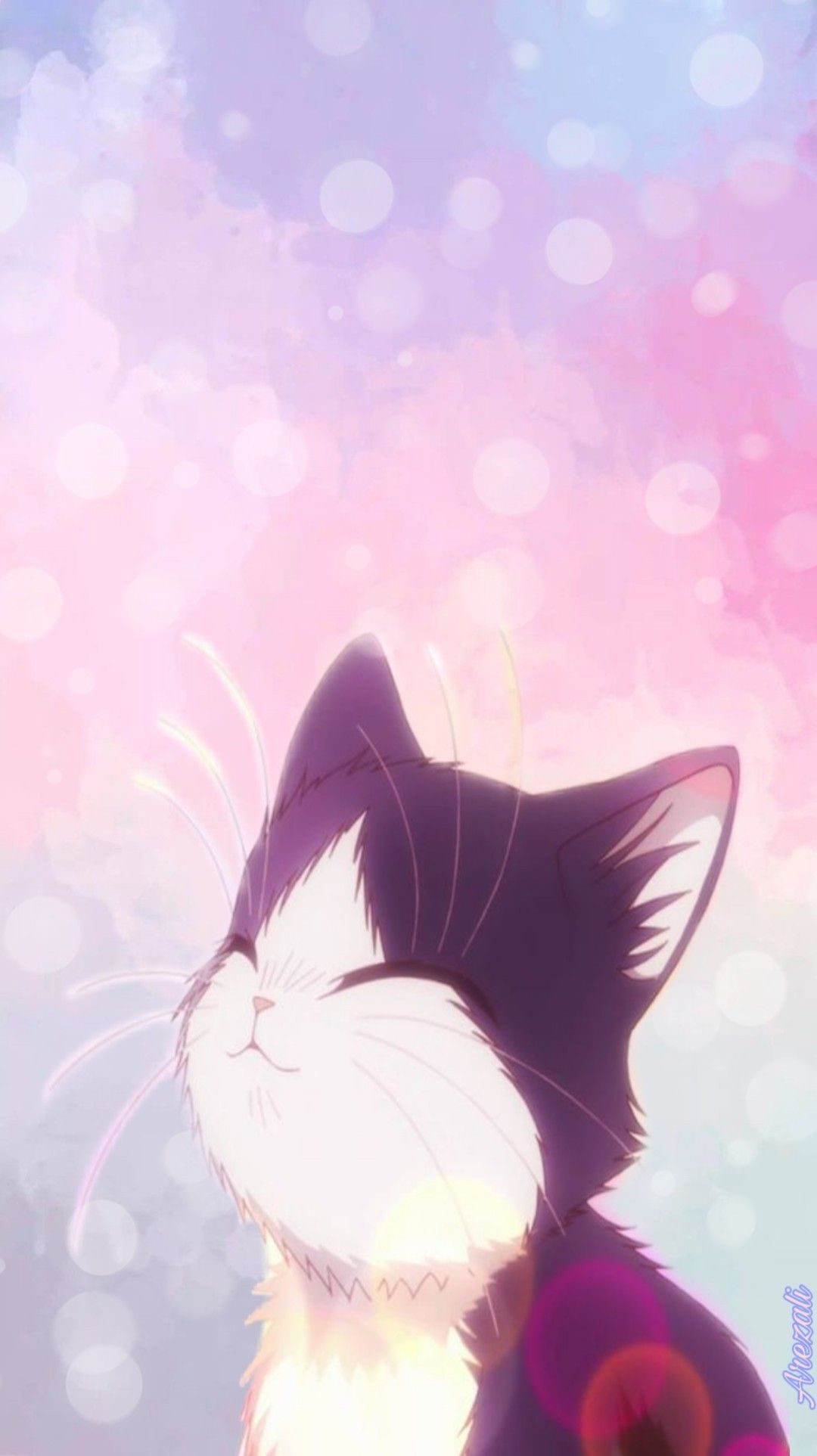 My Roommate Is A Cat Wallpapers