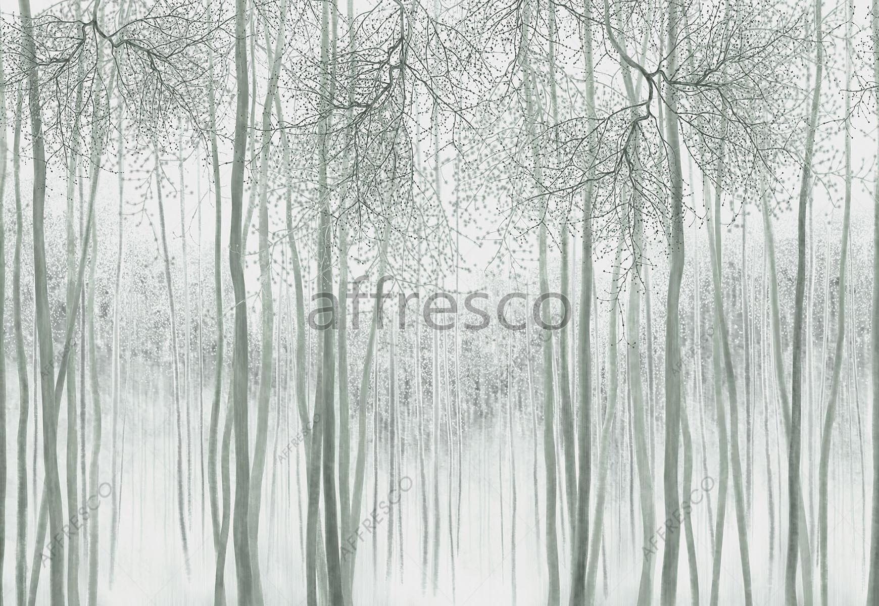 Mysterious Forest Art Wallpapers