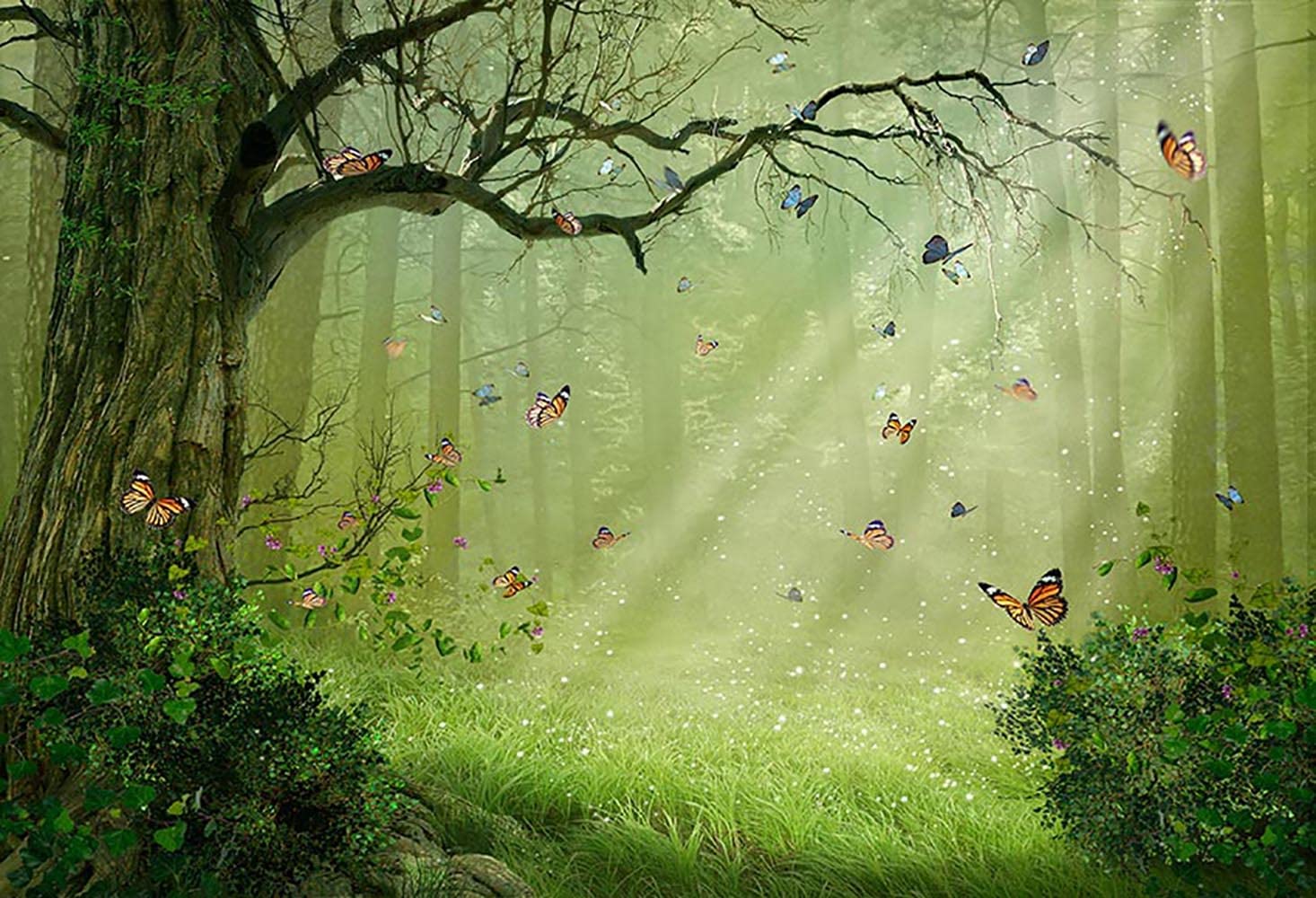 Mystical Forest Background