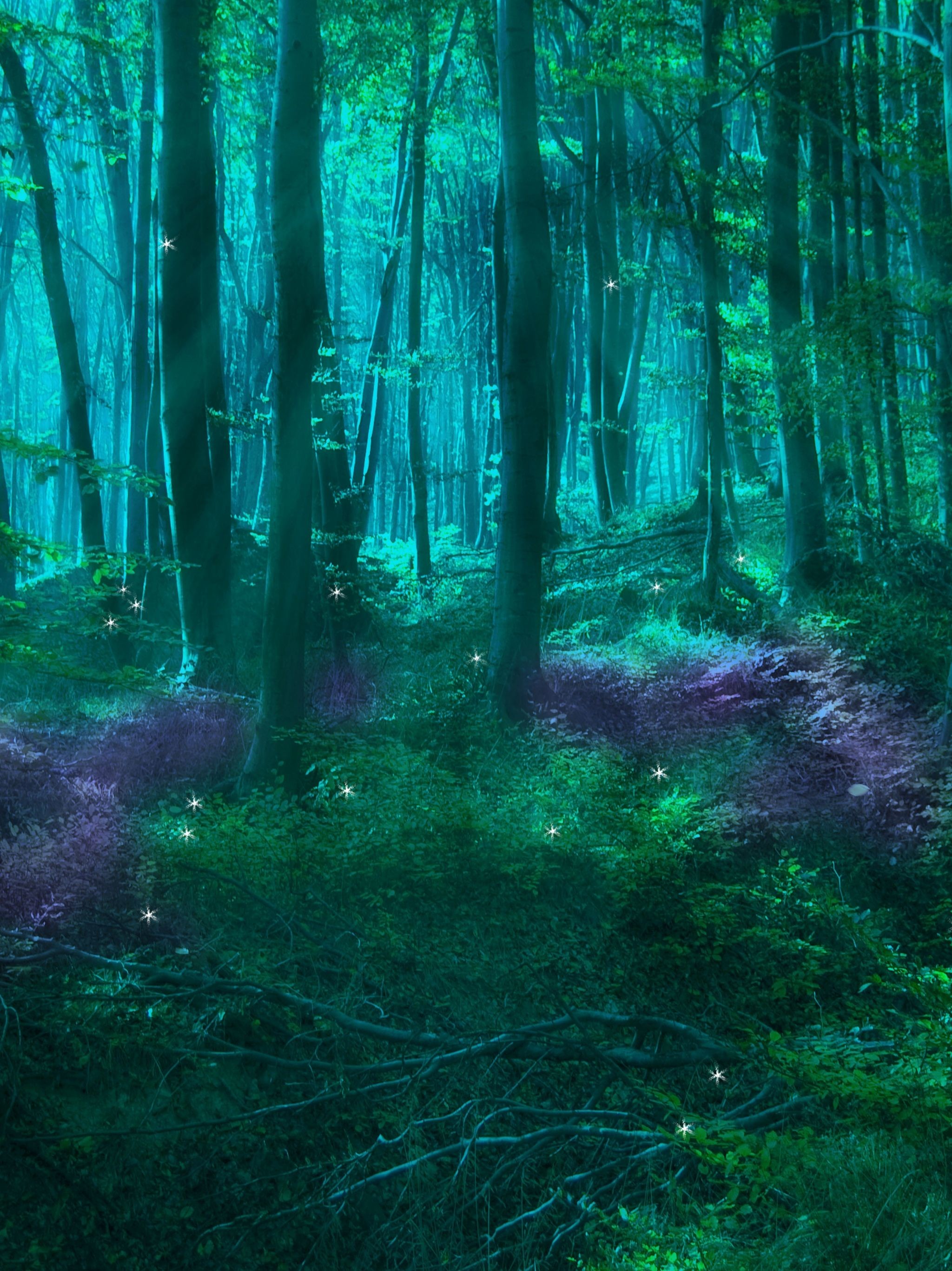 Mystical Forest Background