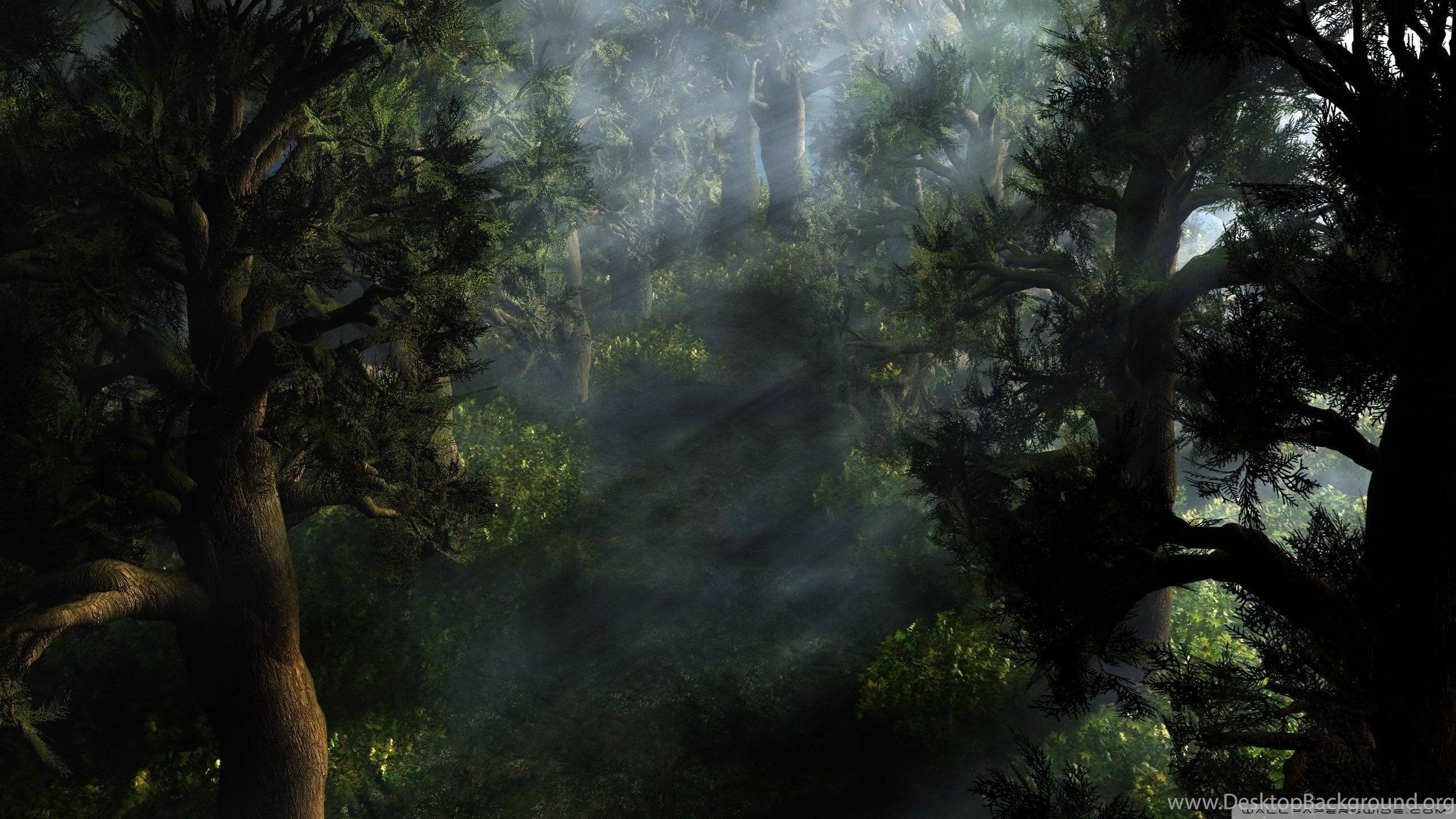 Mystical Forest Background