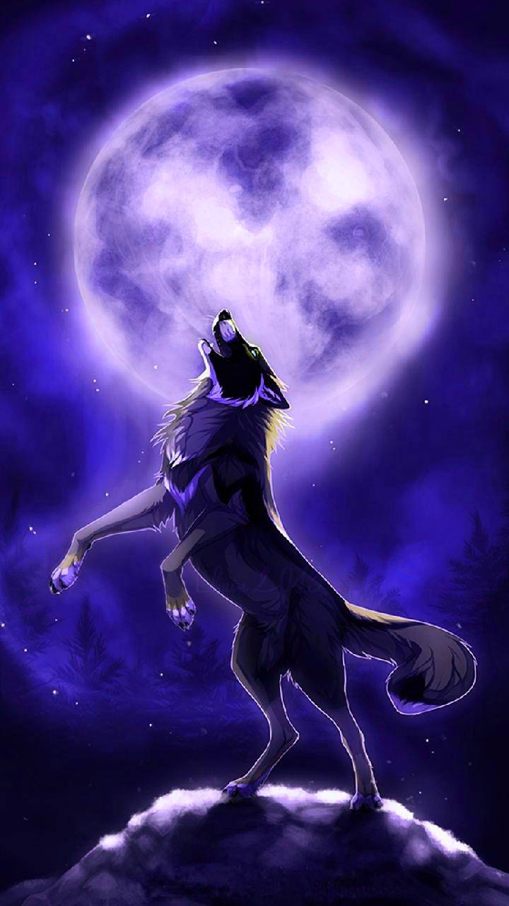 Mystical Galaxy Wolf Wallpapers