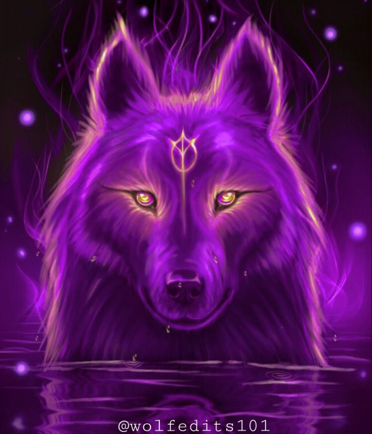 Mystical Galaxy Wolf Wallpapers