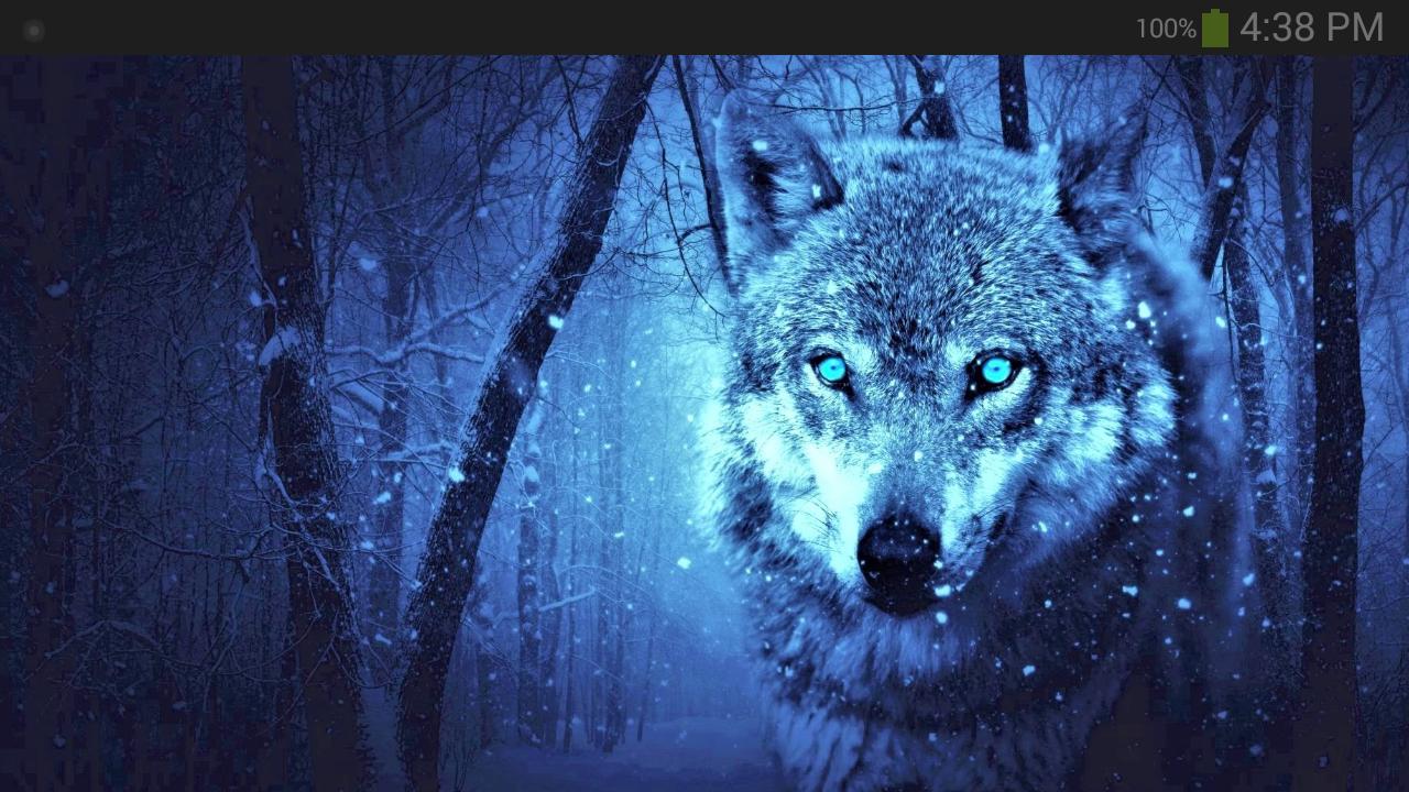 Mystical Galaxy Wolf Wallpapers