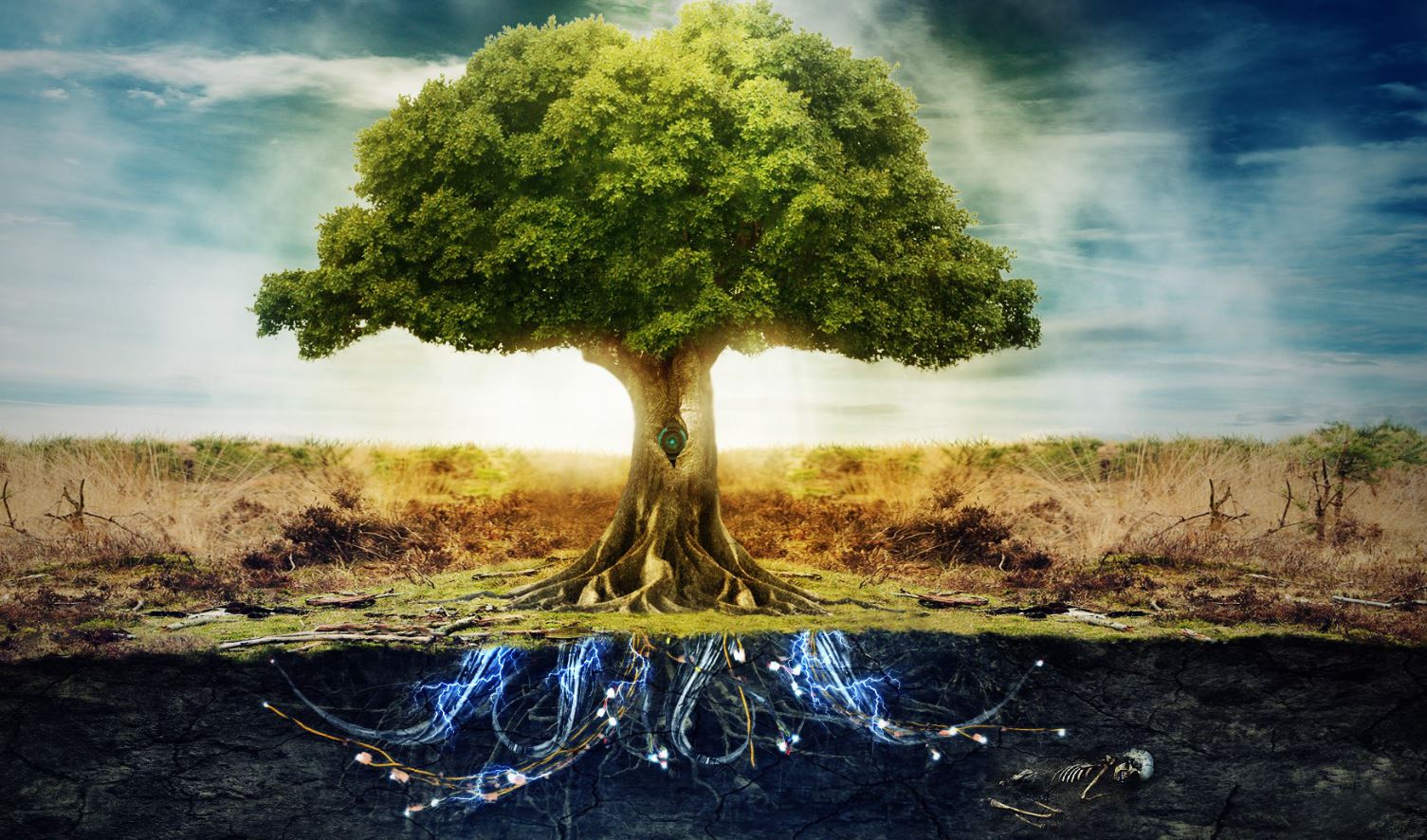 Mystical Tree Of Life Wallpapers