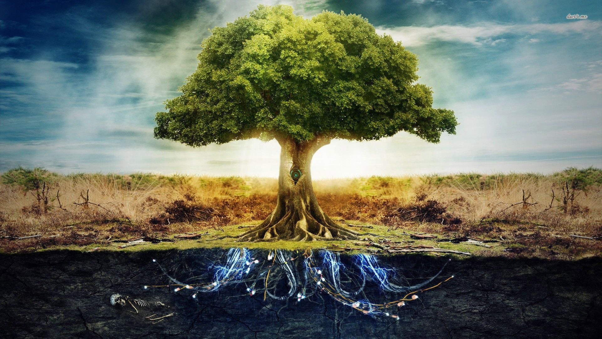 Mystical Tree Of Life Wallpapers