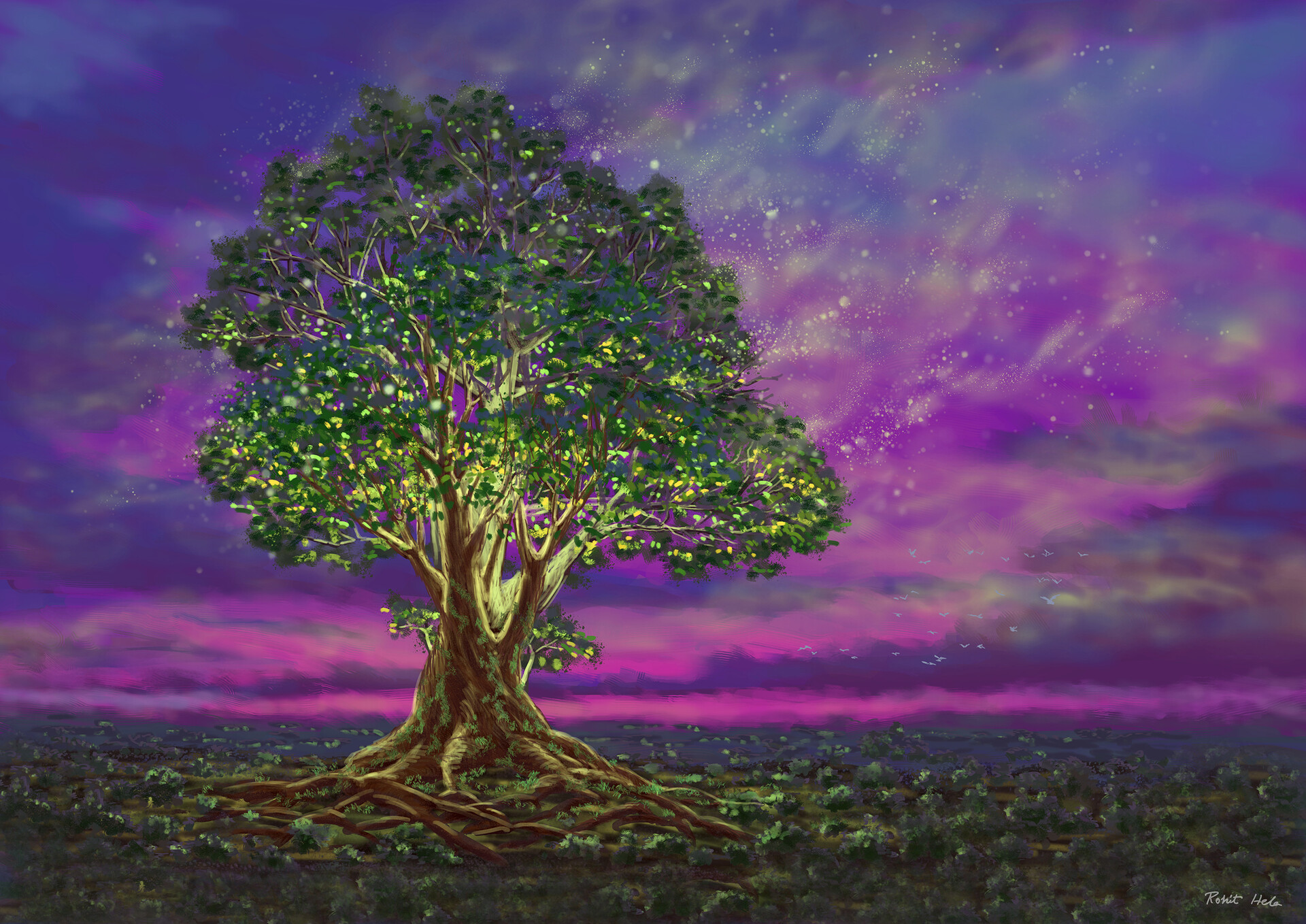 Mystical Tree Of Life Wallpapers