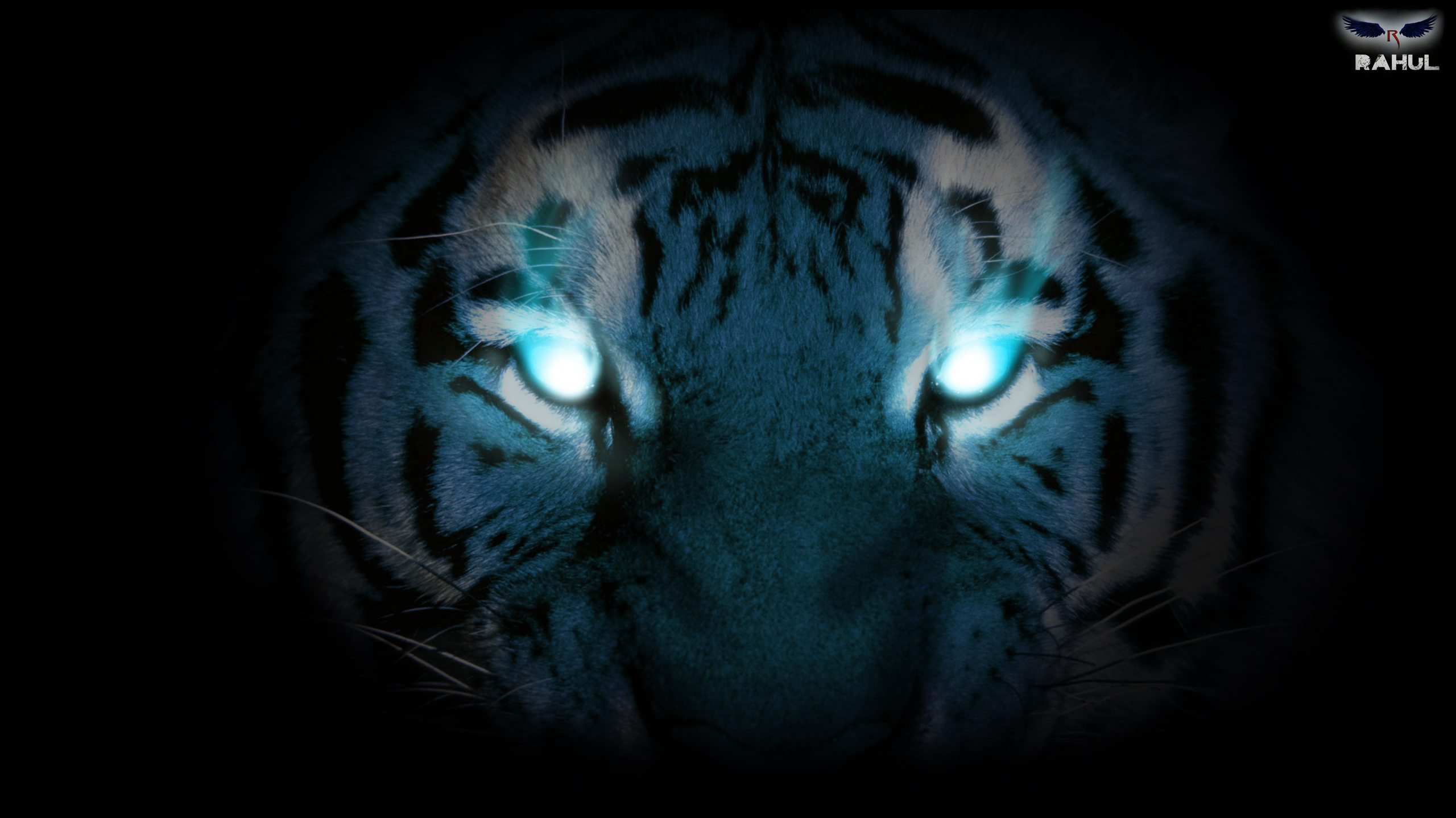 Mystical White Tiger Wallpapers