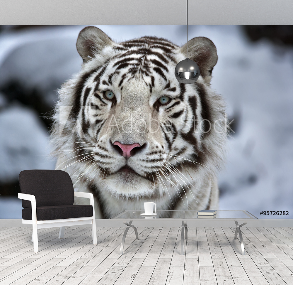 Mystical White Tiger Wallpapers