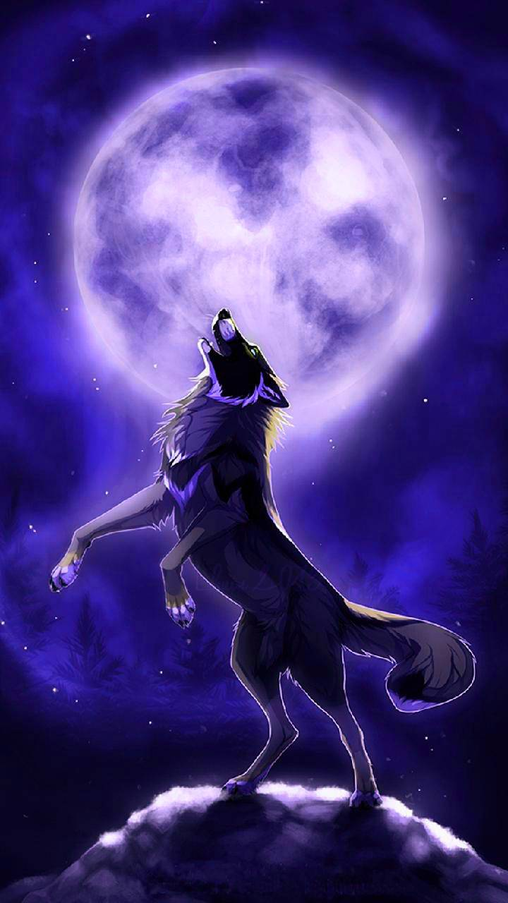 Mythical Wolf Drawings Wallpapers