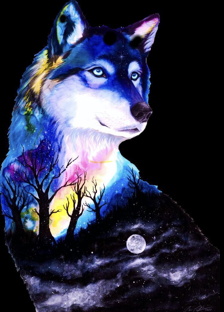 Mythical Wolf Drawings Wallpapers