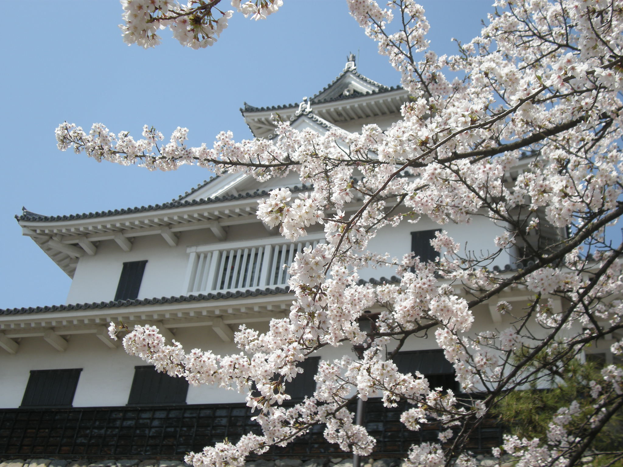 Nagahama Castle Wallpapers