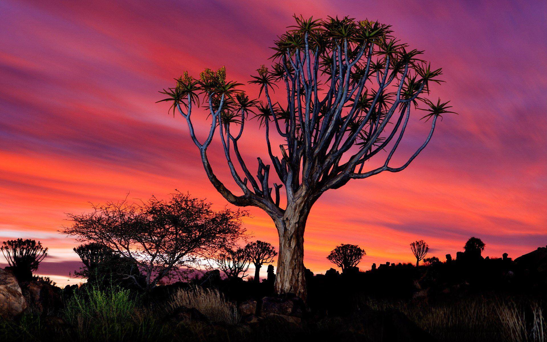 Namibia Wallpapers