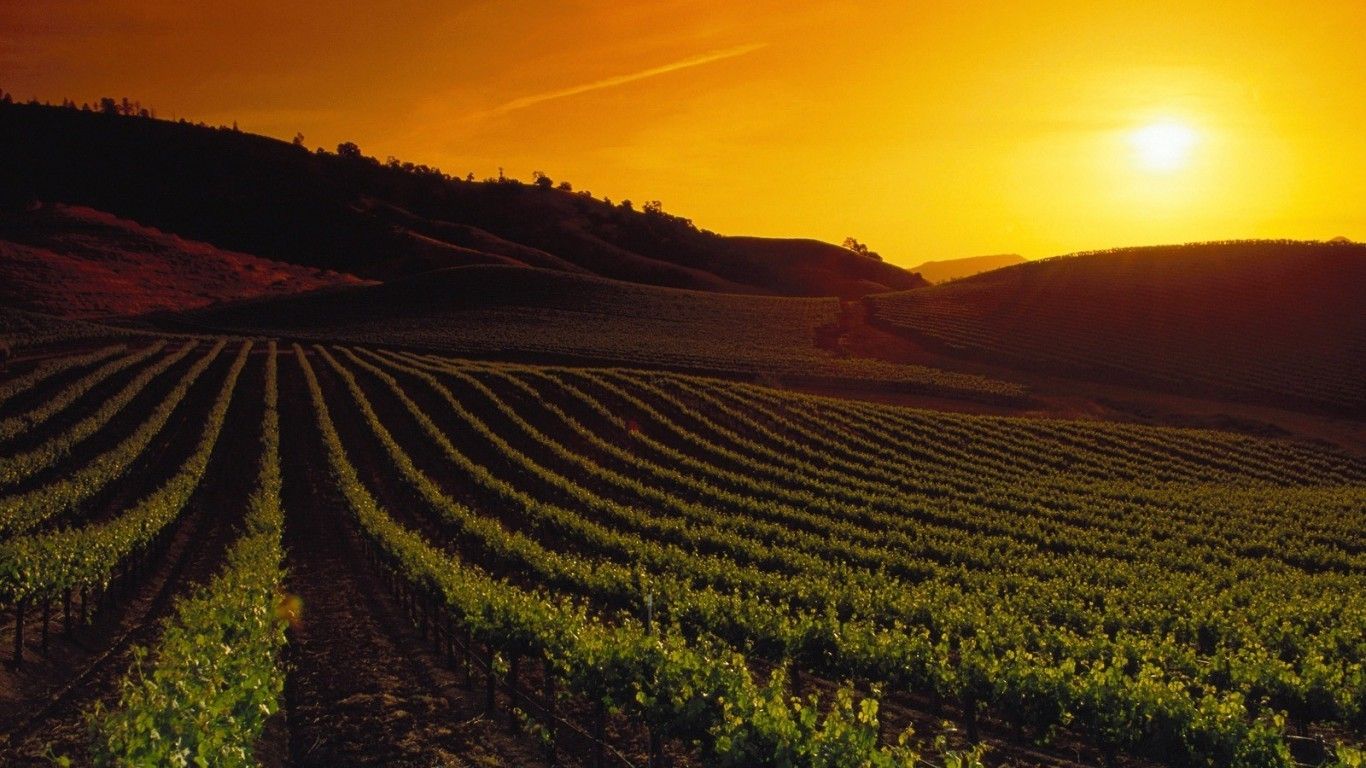 Napa Valley Wallpapers