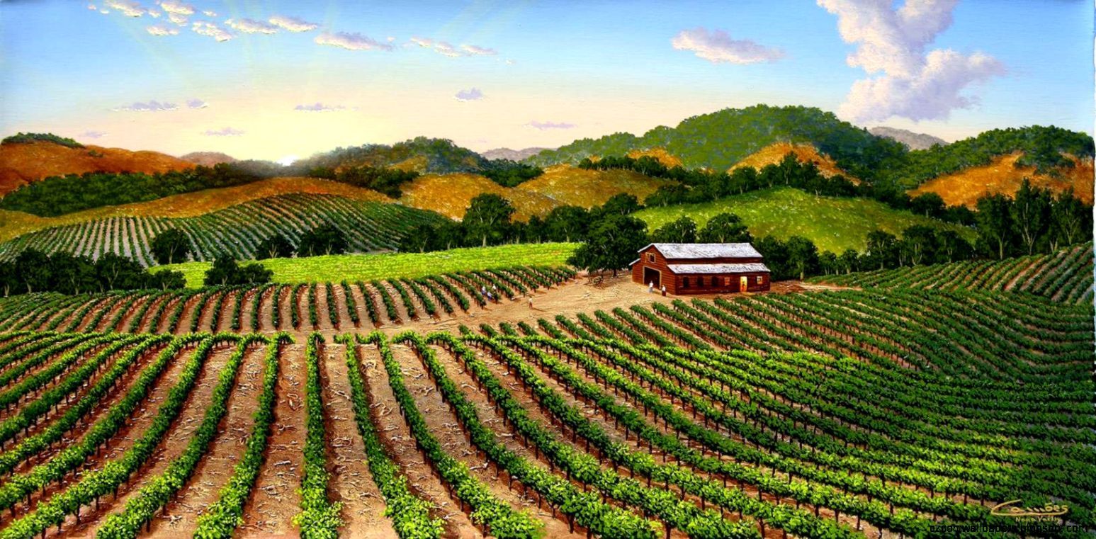 Napa Valley Wallpapers