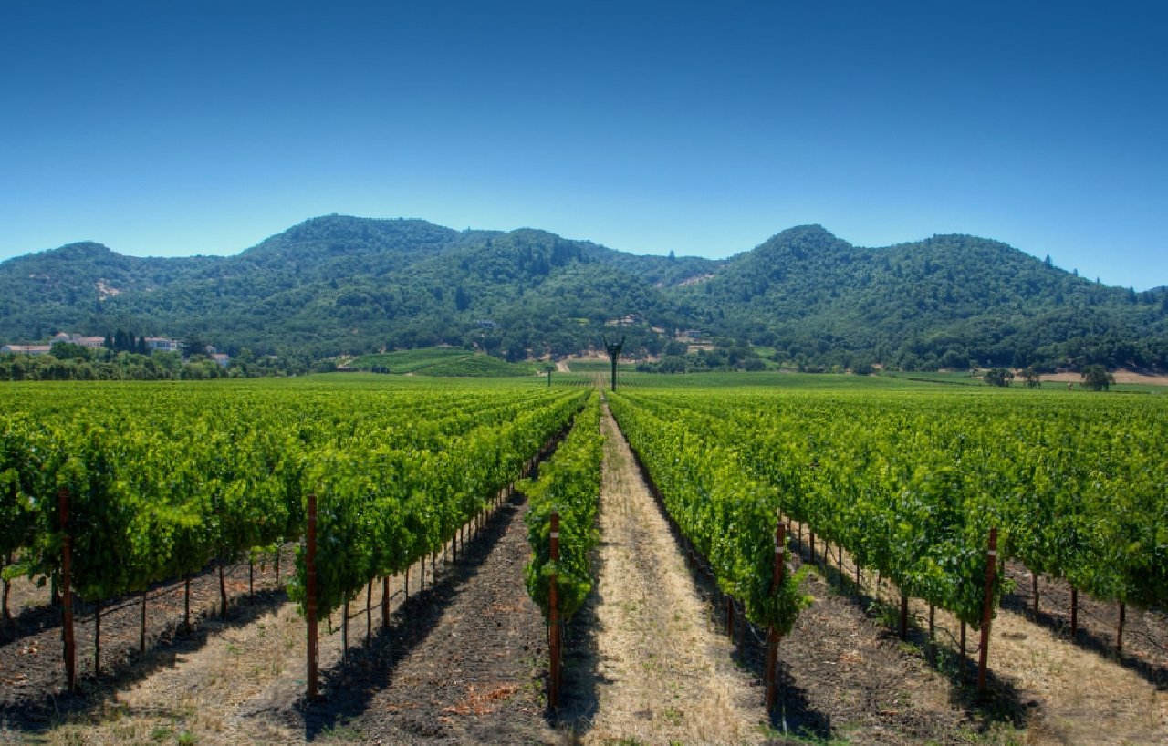 Napa Valley Wallpapers