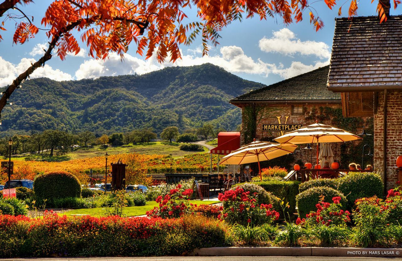 Napa Valley Wallpapers