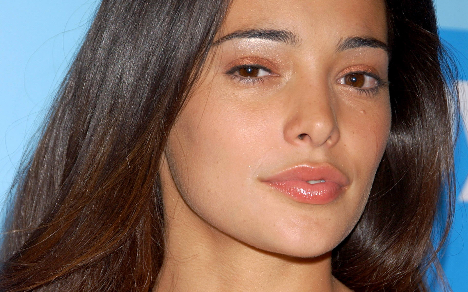 Natalie Martinez Wallpapers