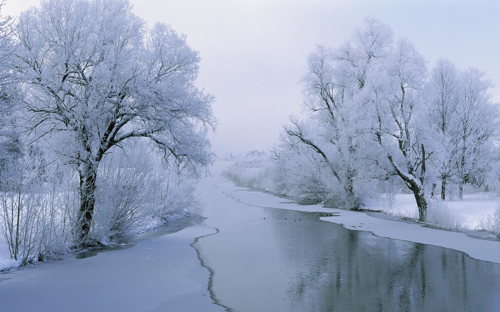 National Geographic Winter Wallpapers