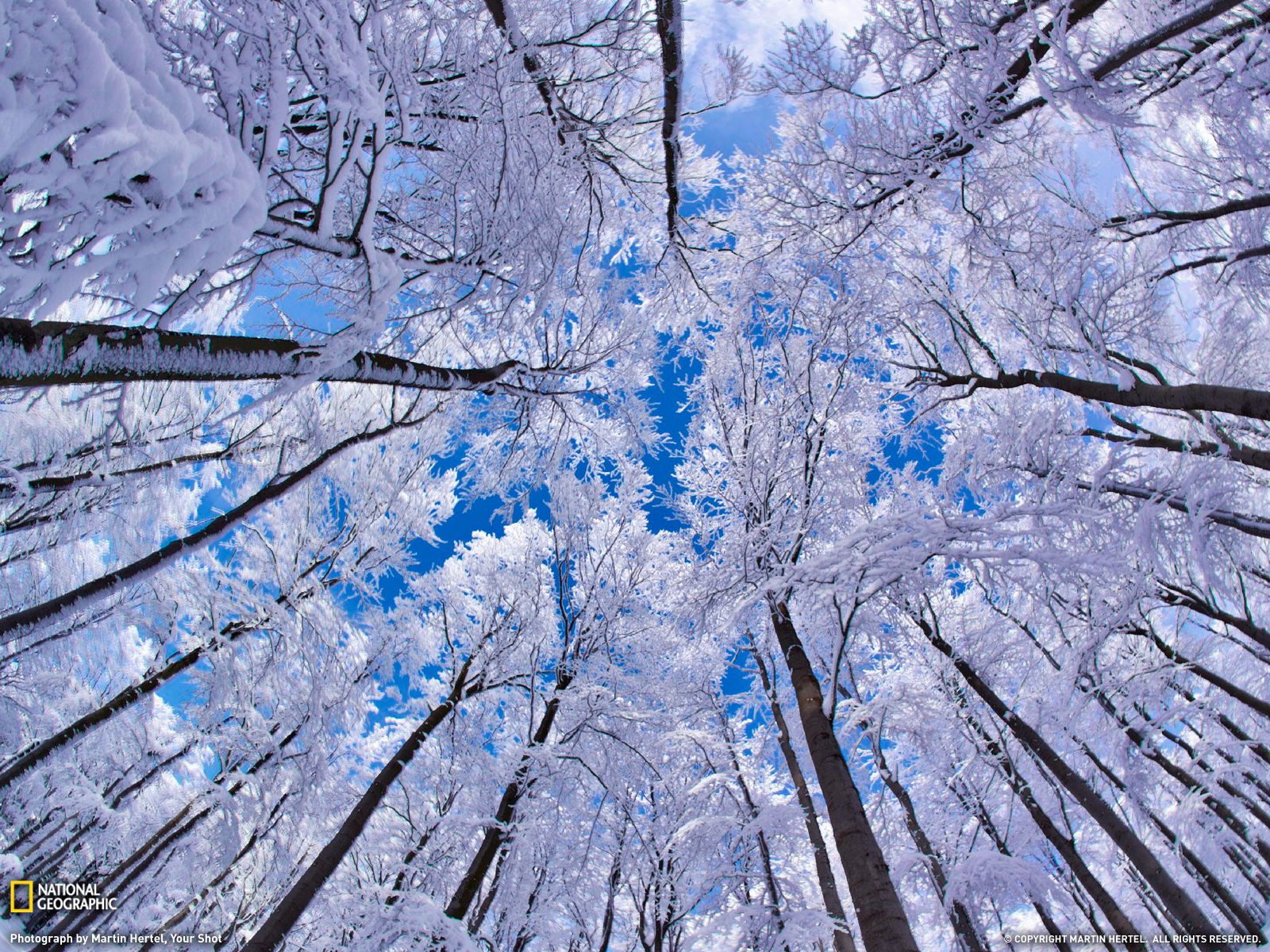 National Geographic Winter Wallpapers