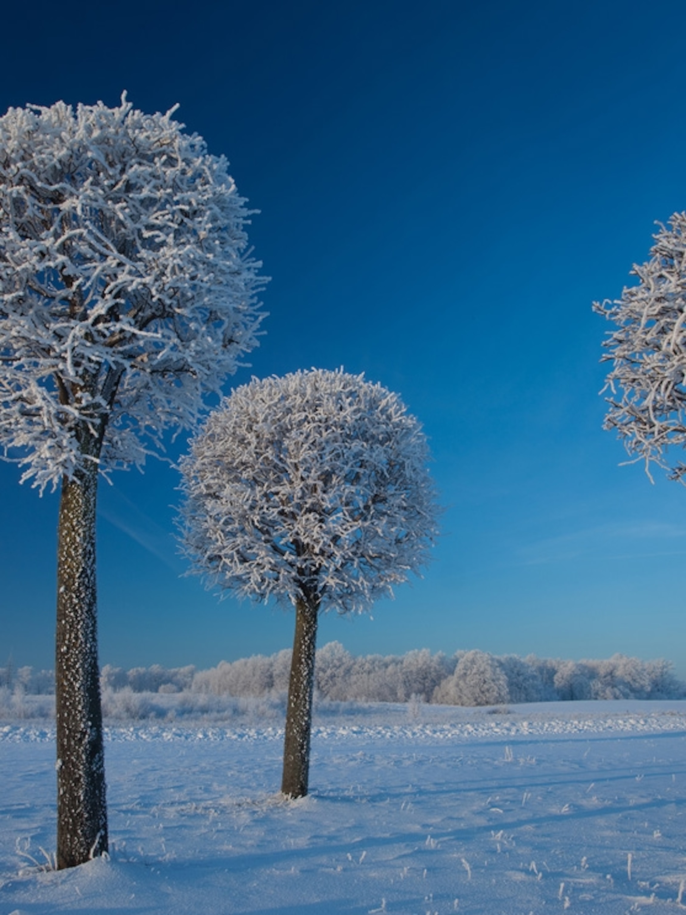 National Geographic Winter Wallpapers