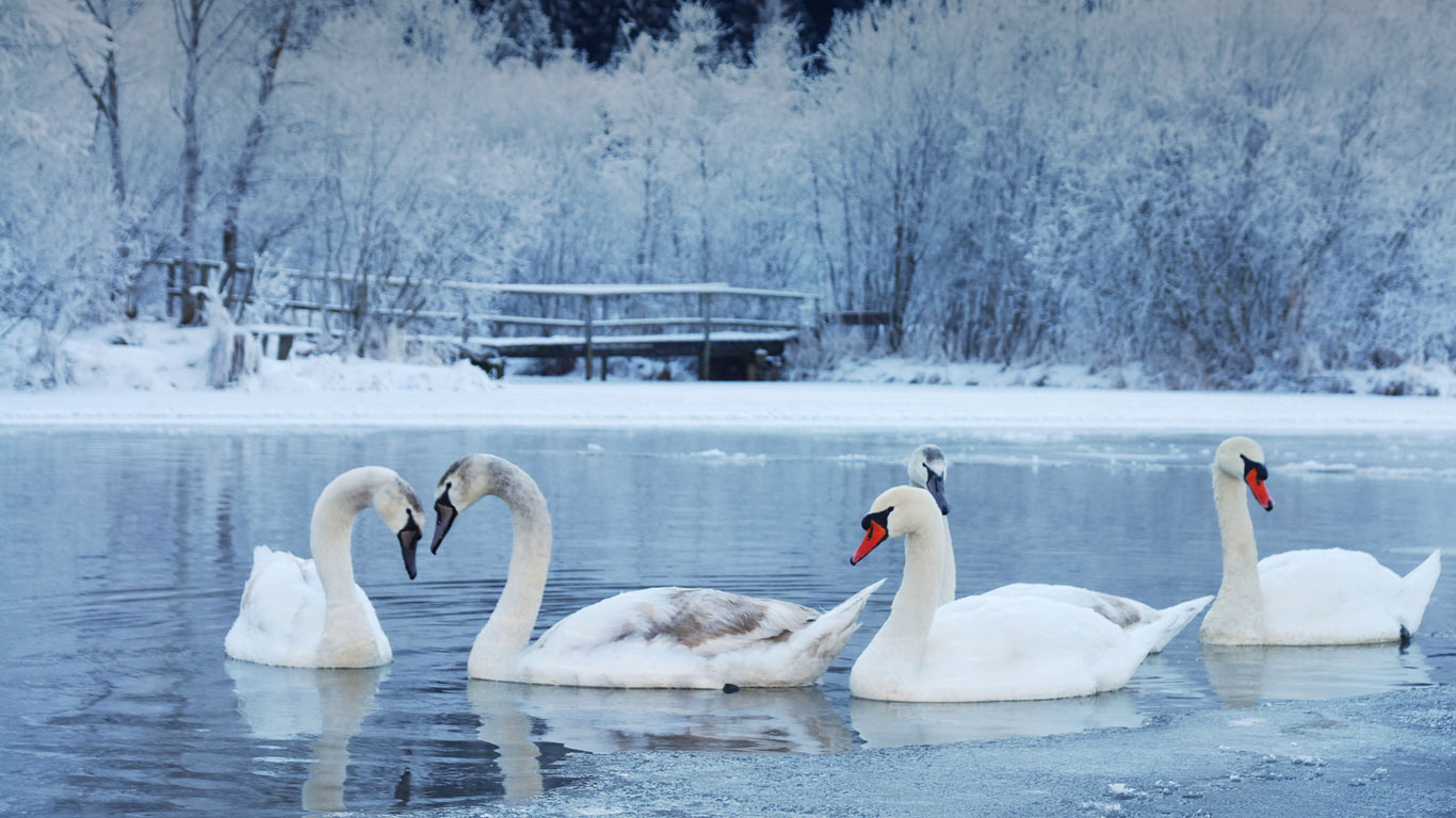 National Geographic Winter Wallpapers